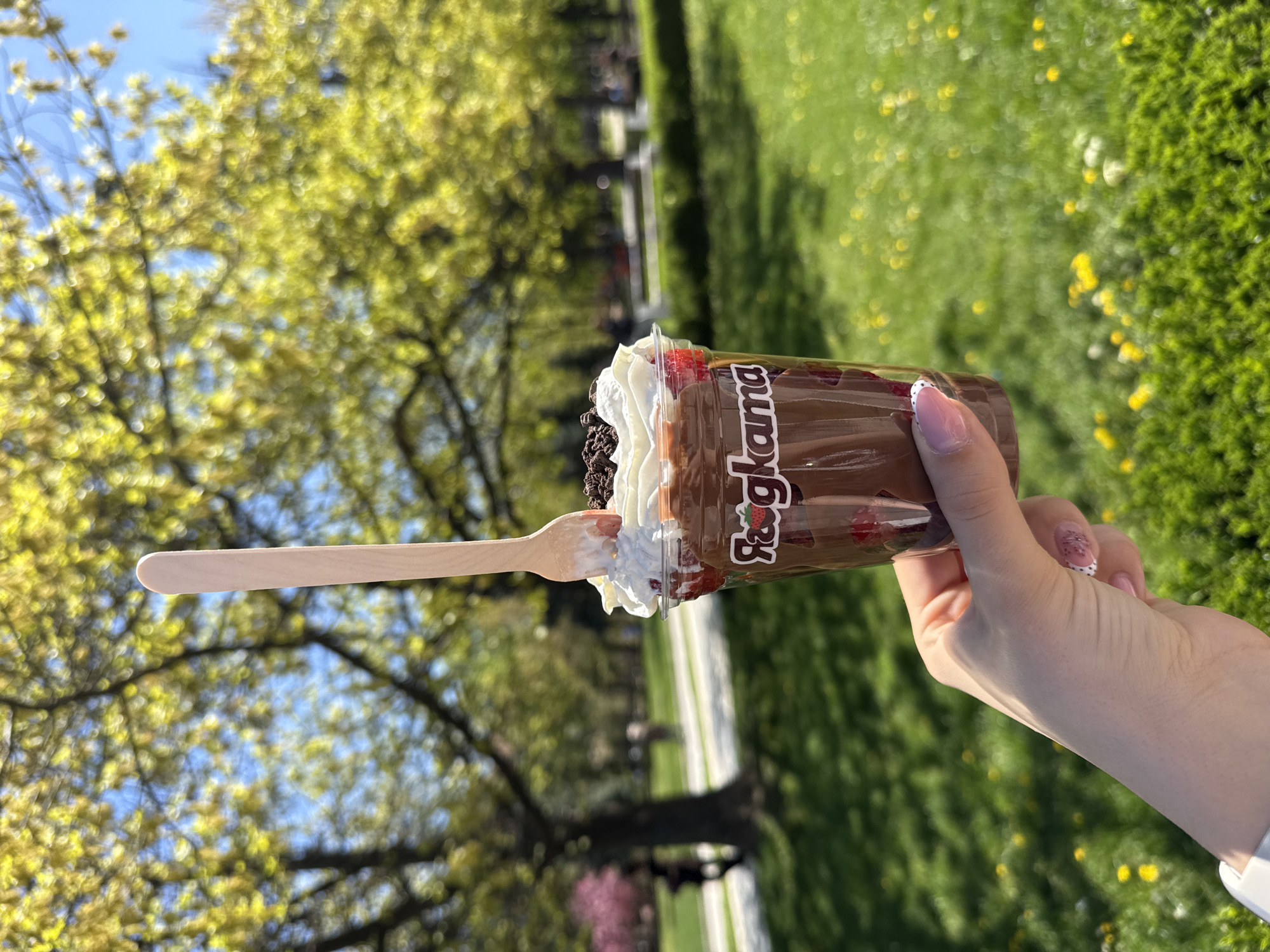 Layered dessert with strawberries photographed outdoors in Sofia