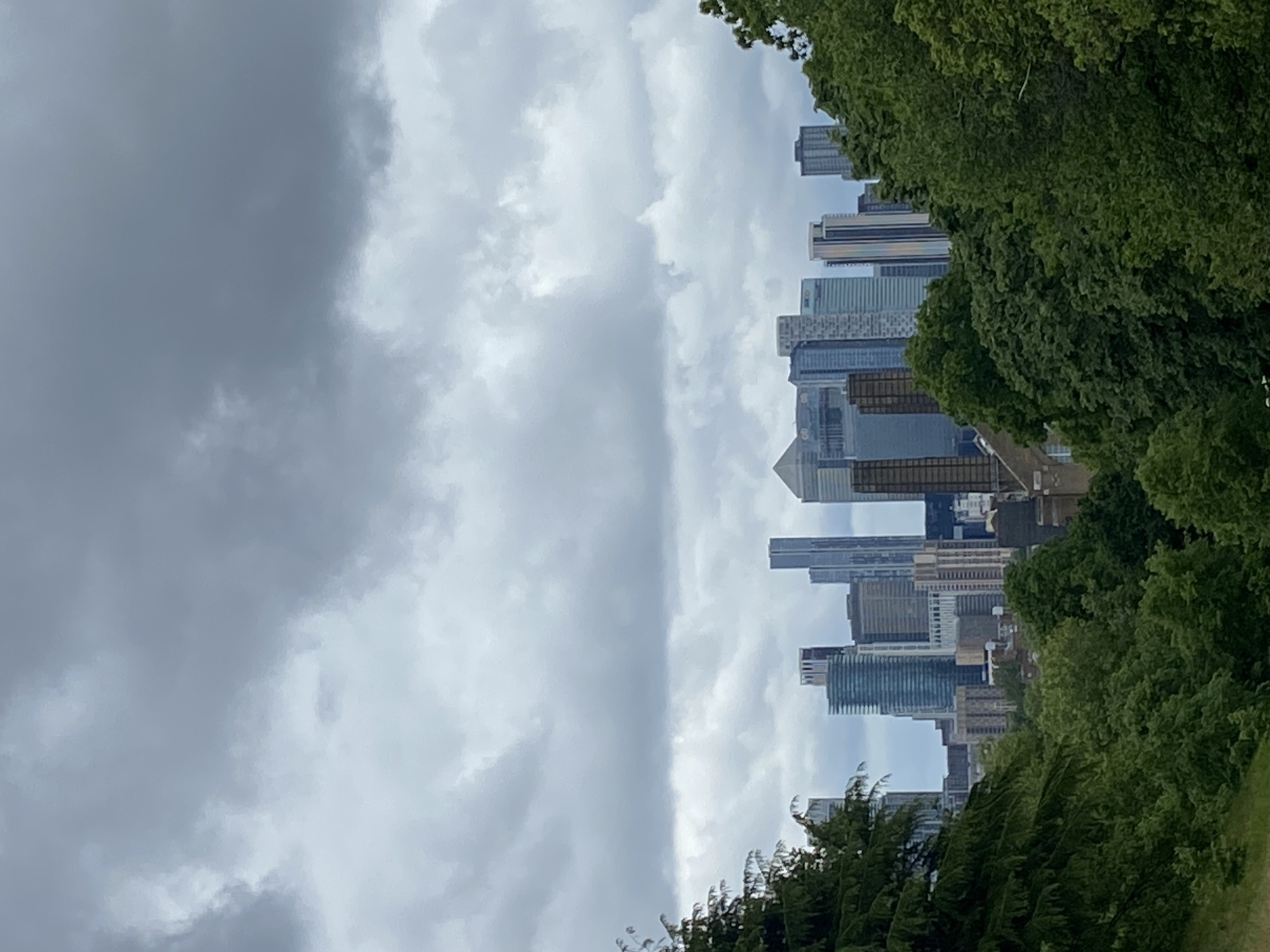 London witness captures Canary Wharf skyline views from parkland