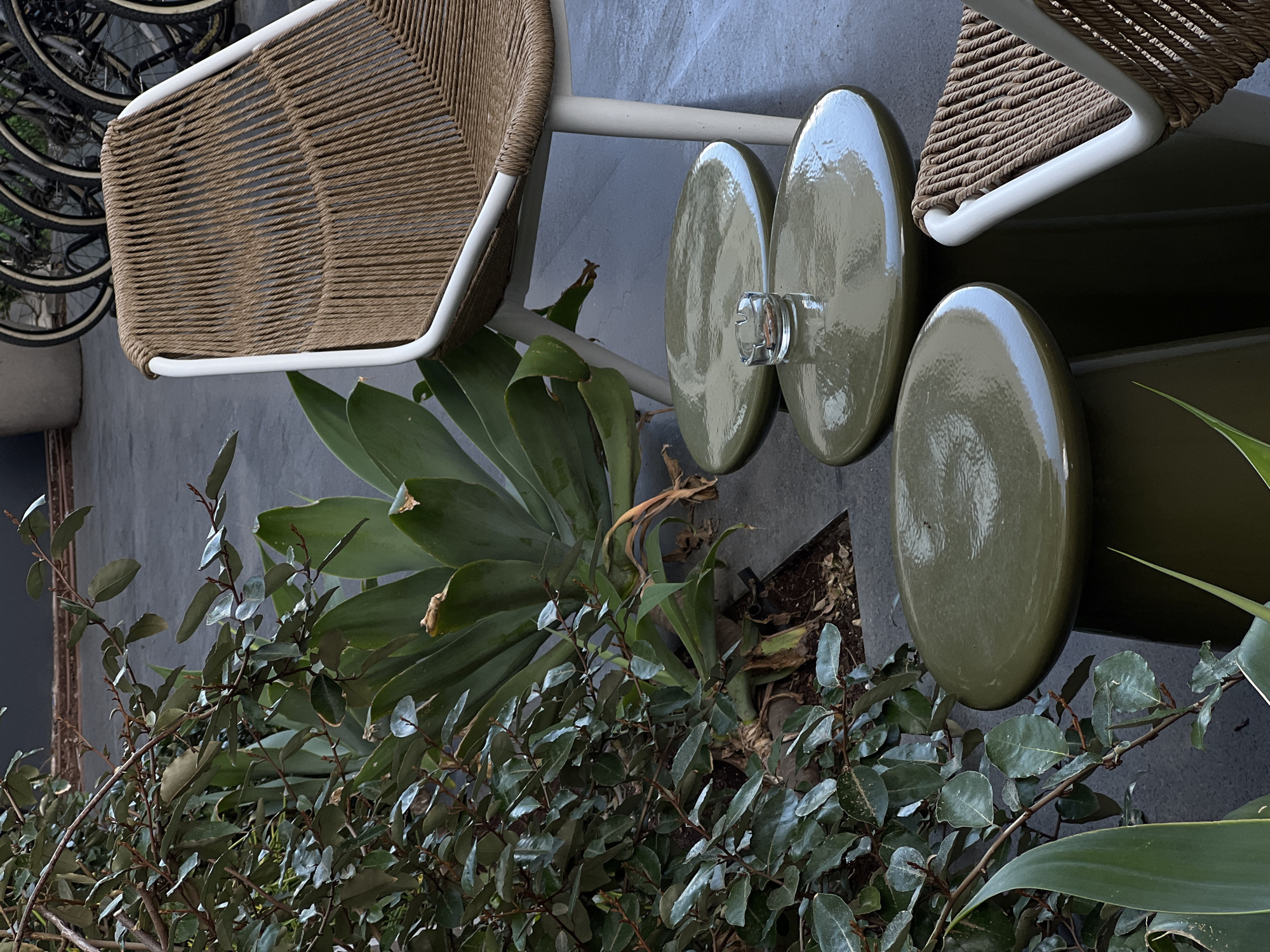 Artistic scenes and daily moments captured across Tel Aviv