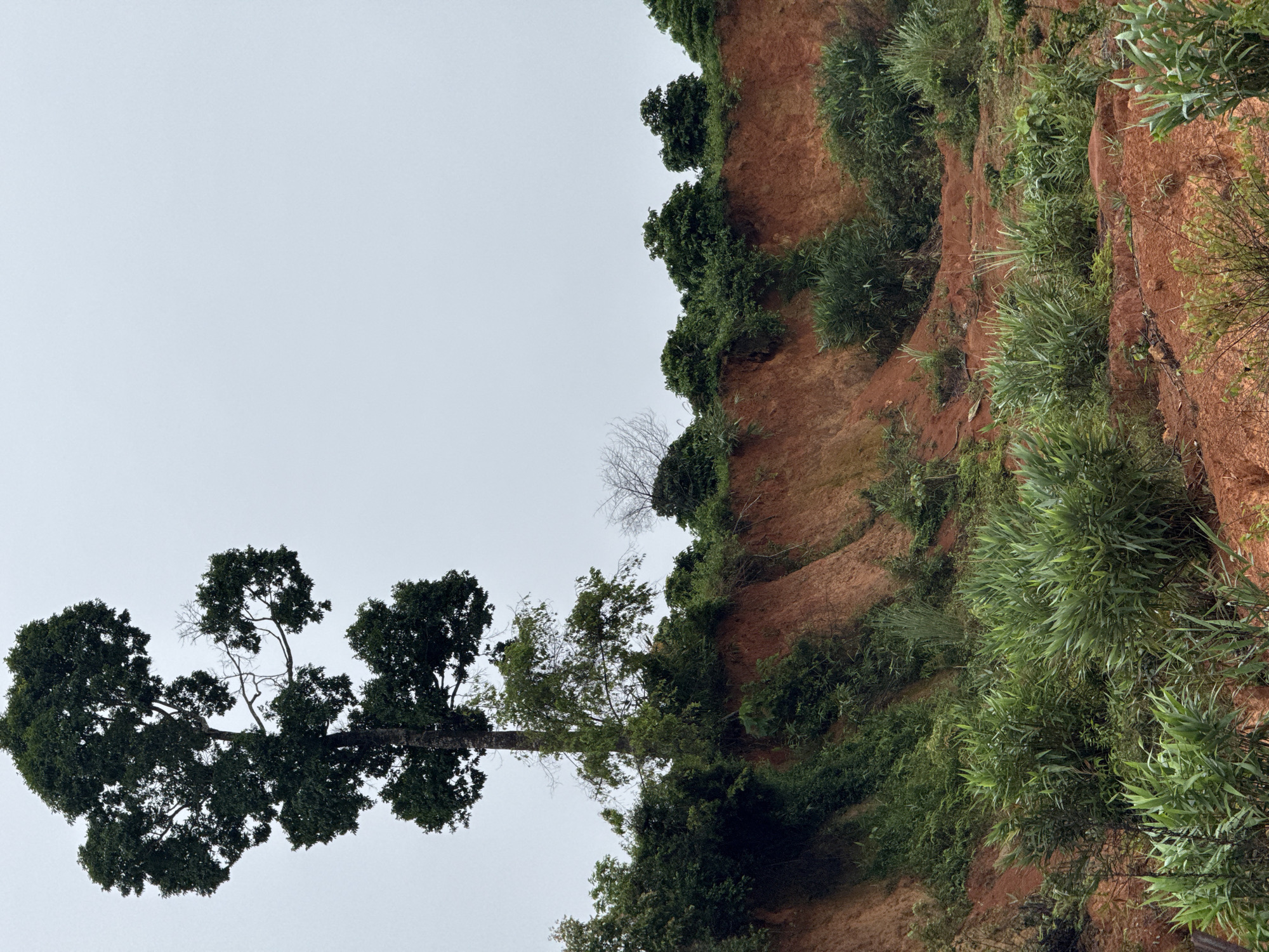 Bo Y, Vietnam