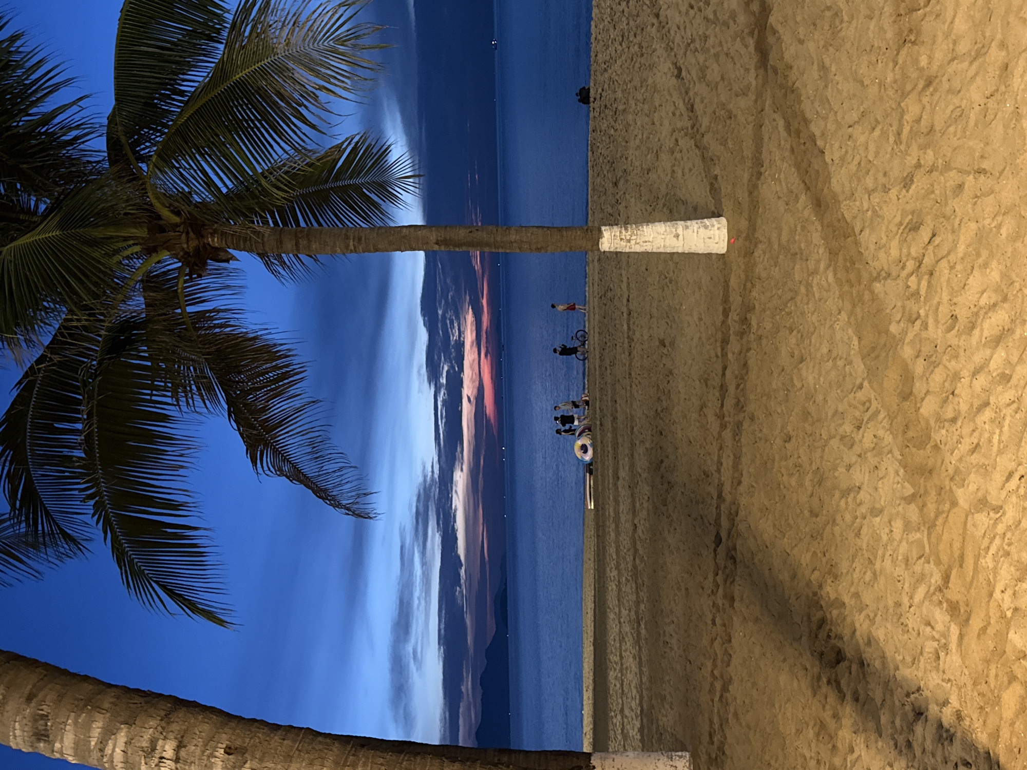 Nha Trang beach at twilight, palm trees against a colorful sky