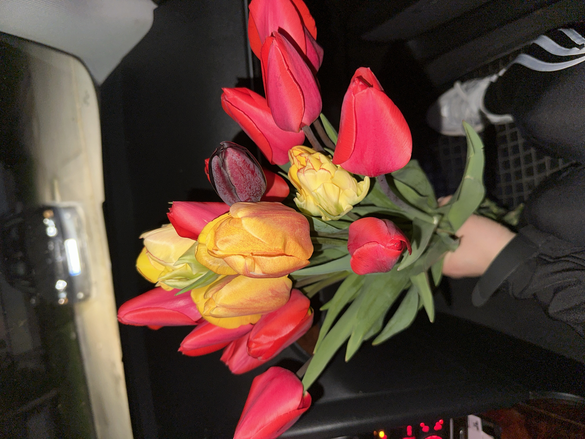 Tulip bouquet photographed in car interior in Bulgaria