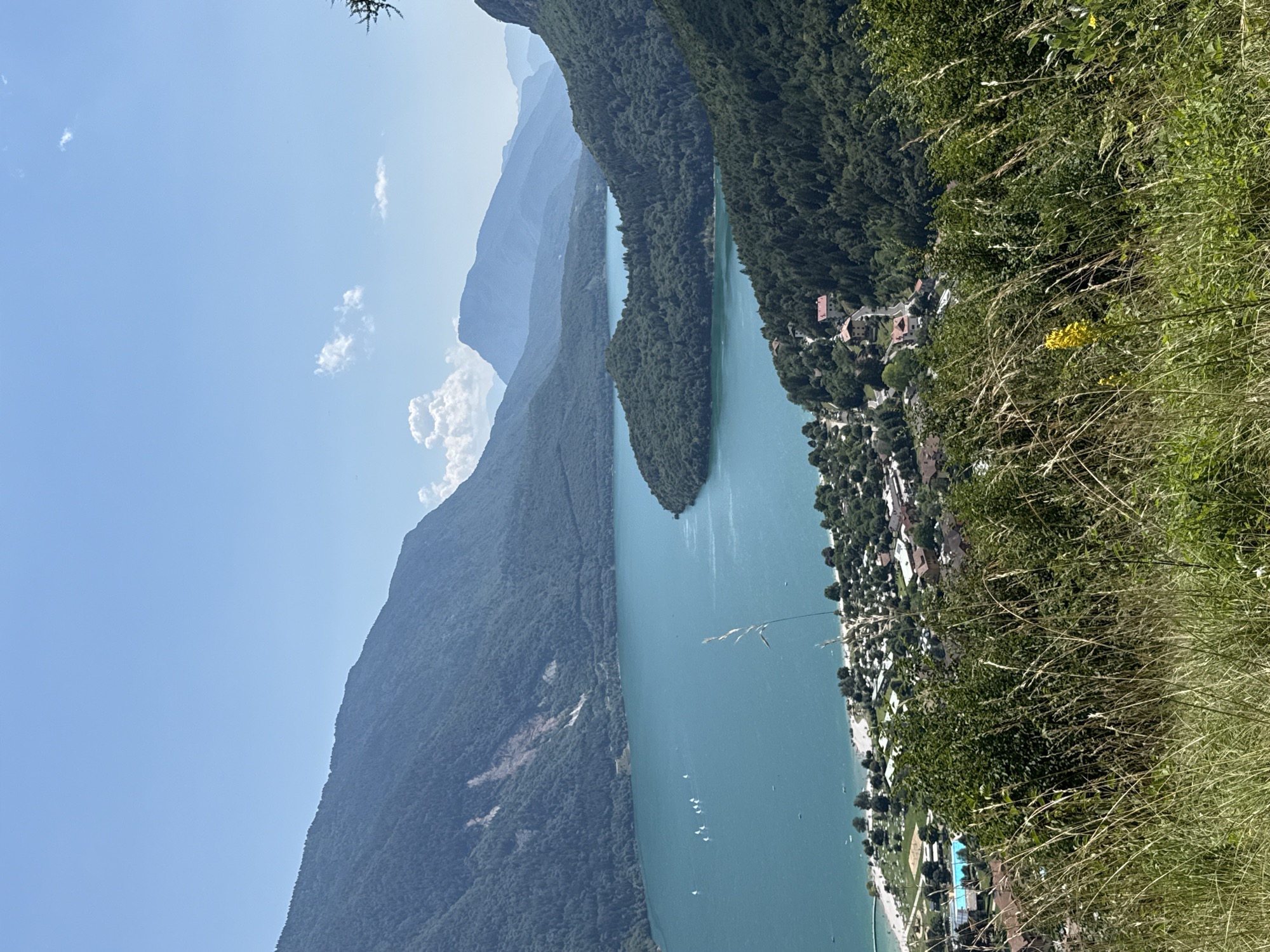 Molveno Lake and its alpine surrounds on a clear summer day