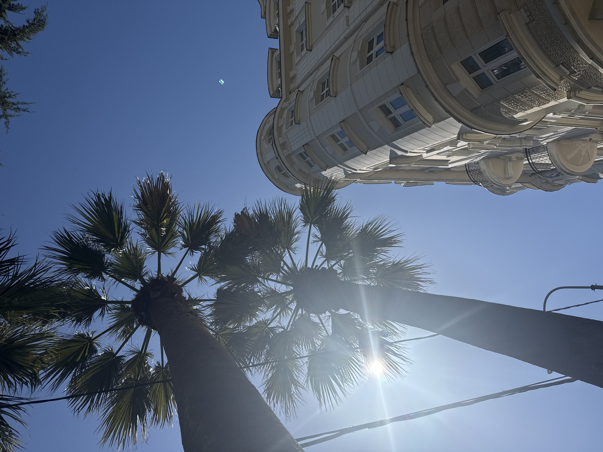 Urban scenes documented across coastal city during morning hours