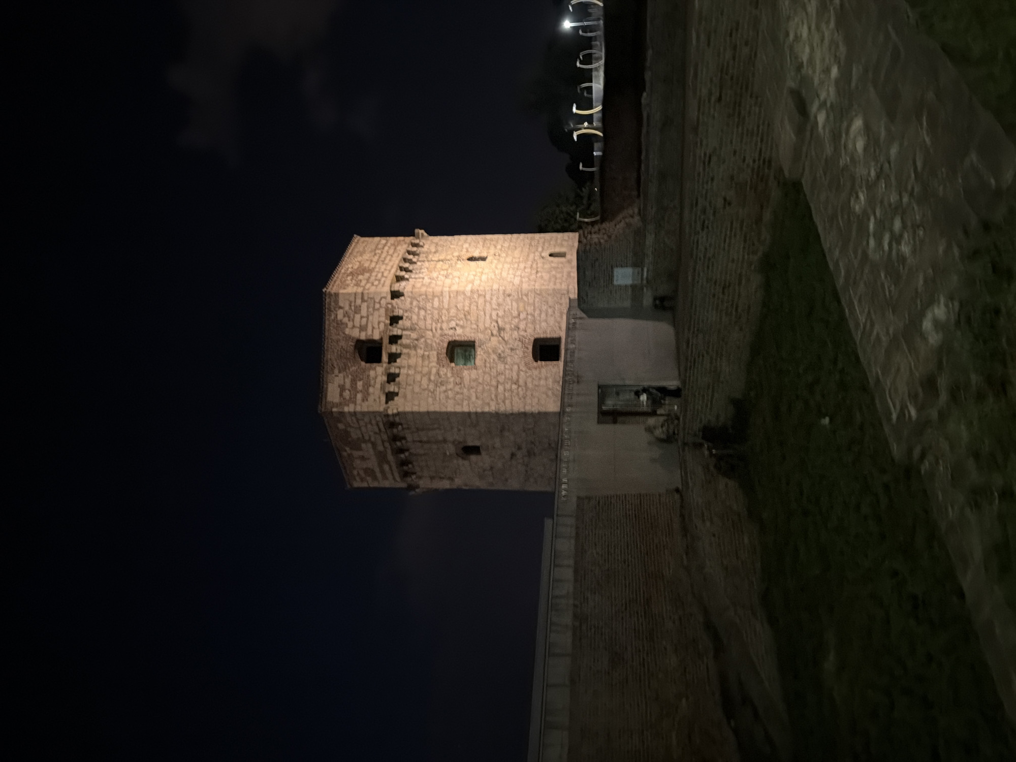Night at Belgrade's waterfront: old tower, river, and a toad
