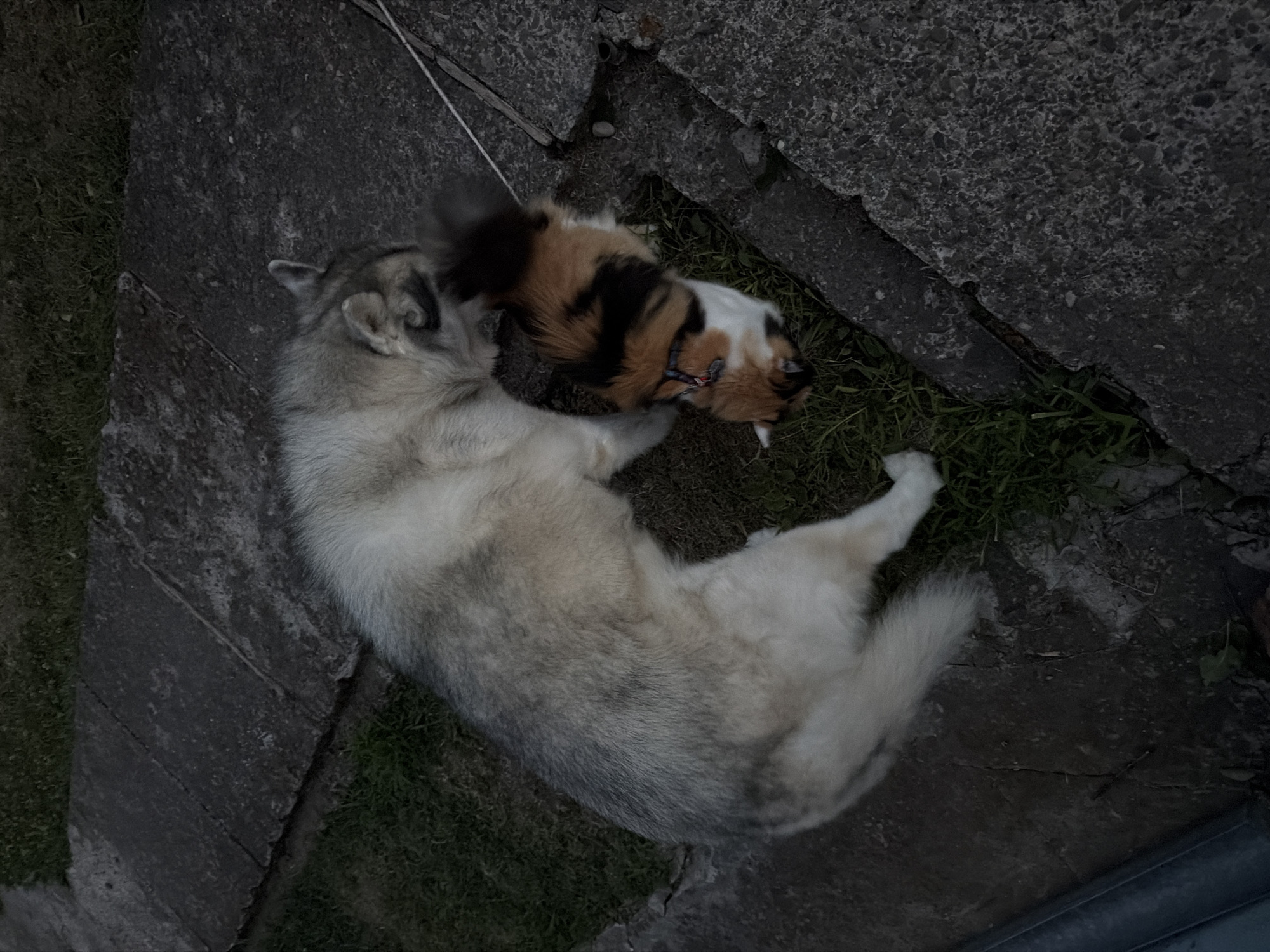 Event
