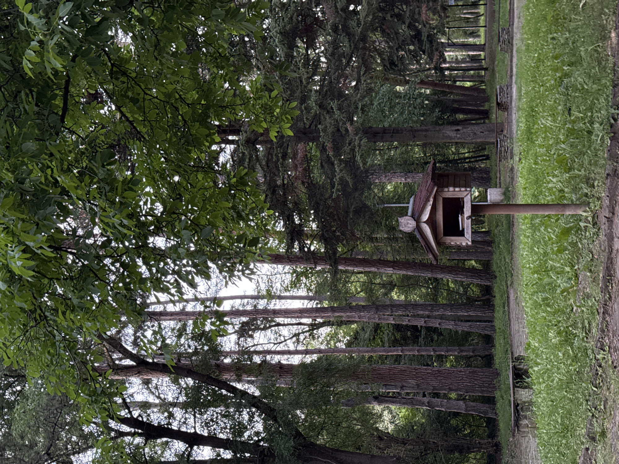 Wandering a Lovech park: birdhouse, game board, waterside fence