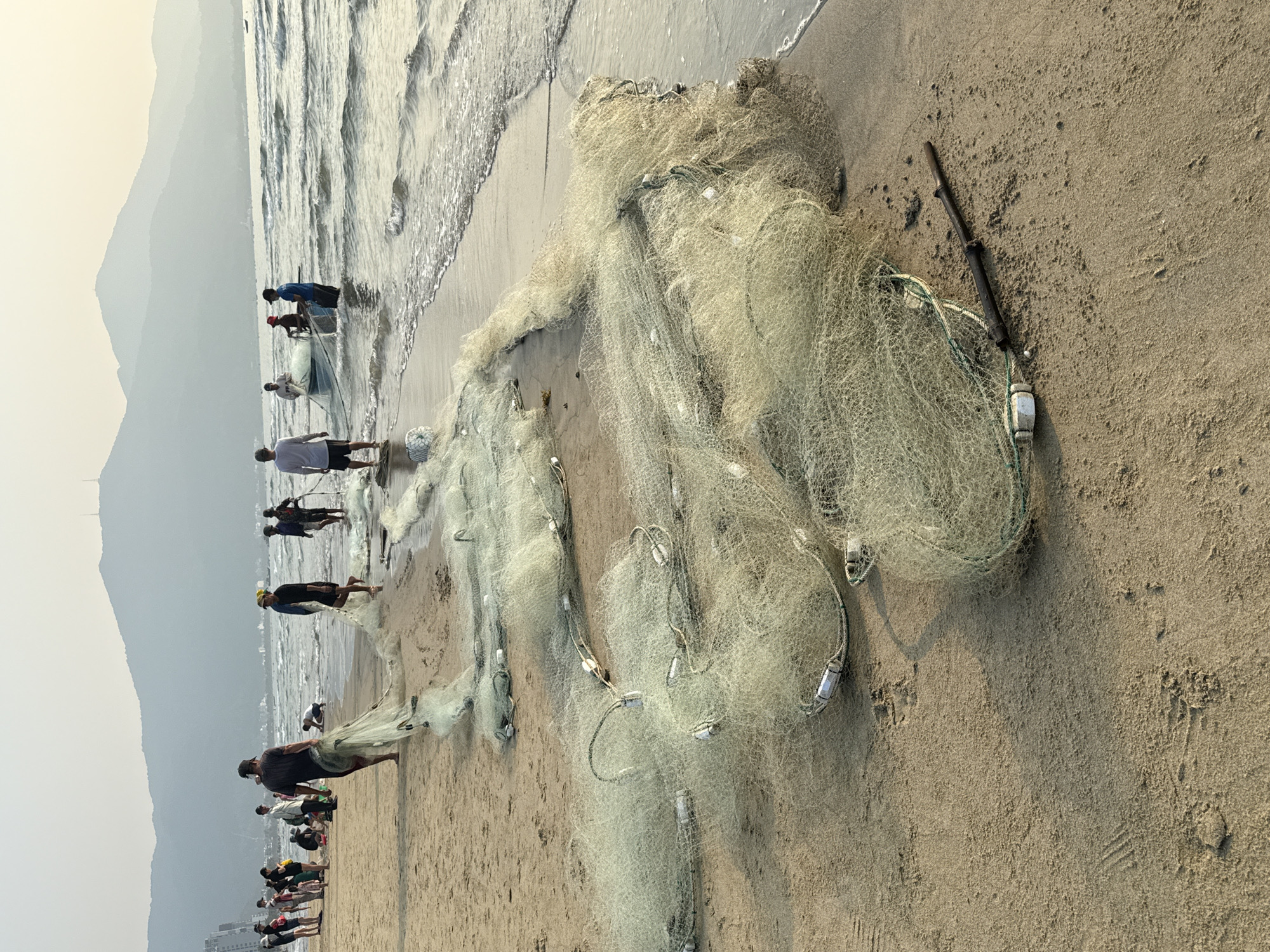Beach activity and marine life captured in Đà Nẵng