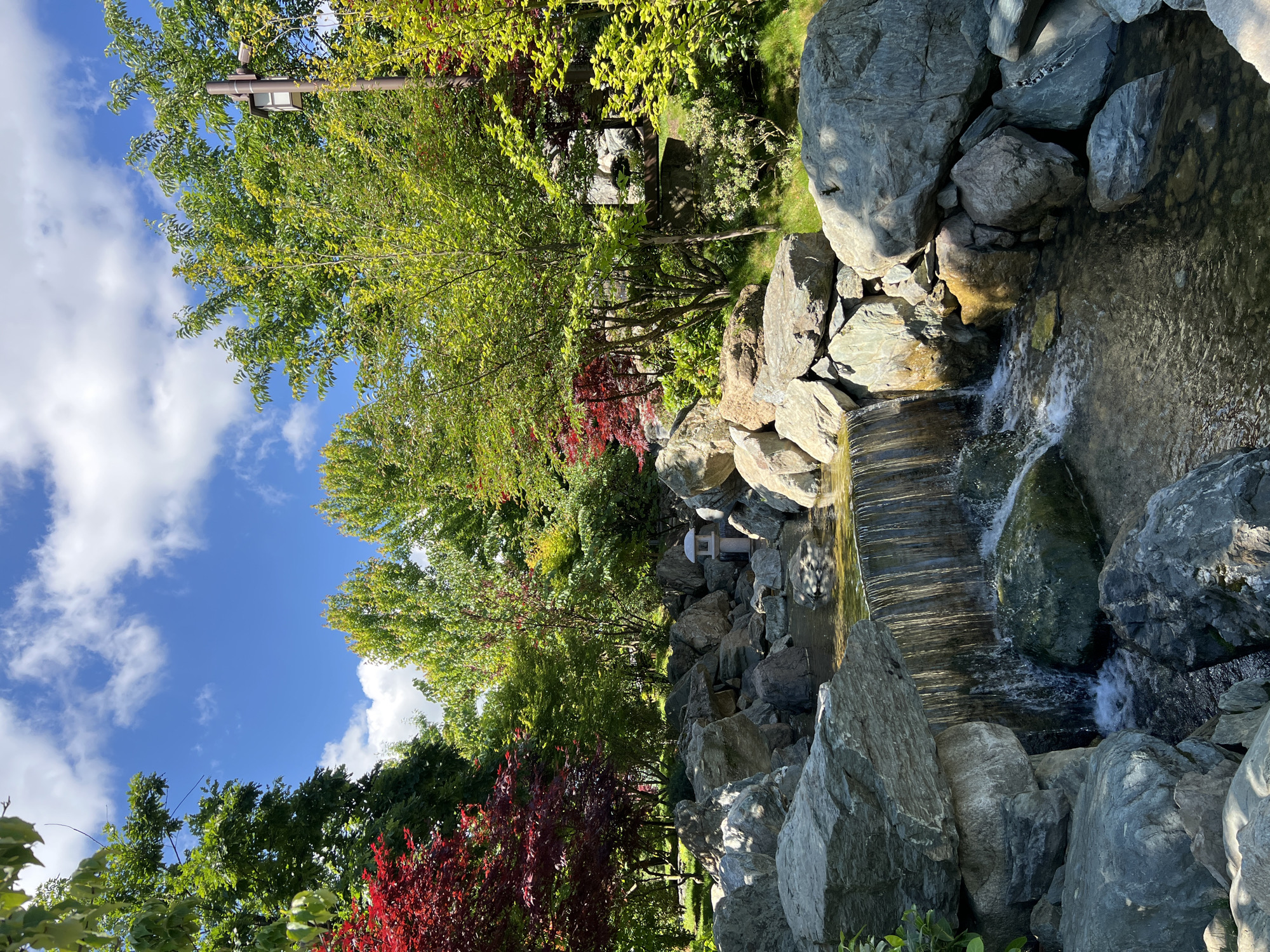 Morning visit to Japanese garden in Krasnodar documented
