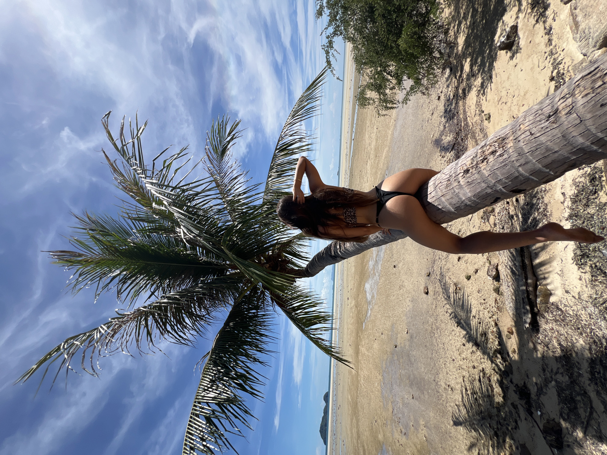Beach morning on Koh Phangan around a leaning palm tree