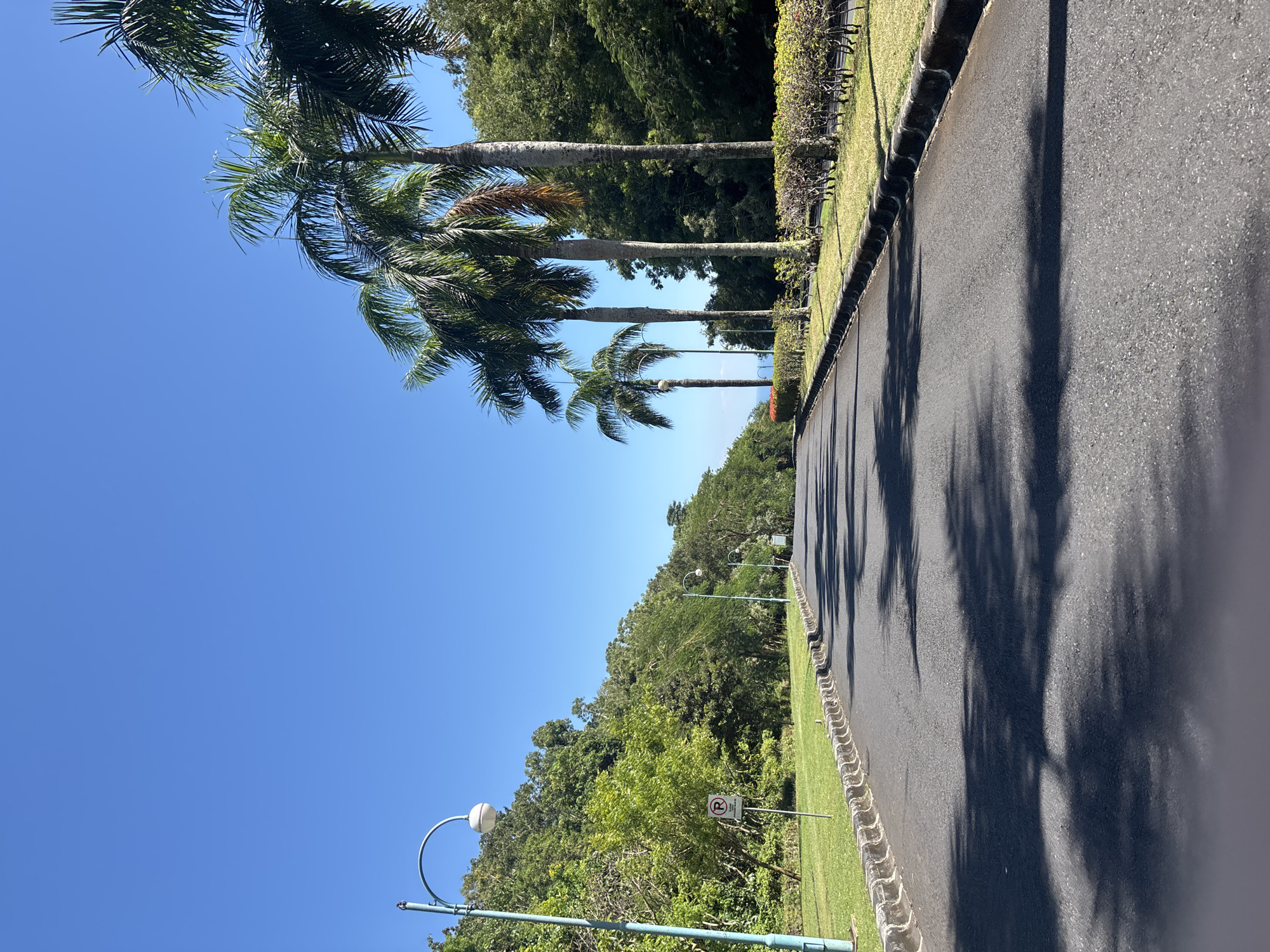 Tree-lined road documented in Pecatu, Indonesia