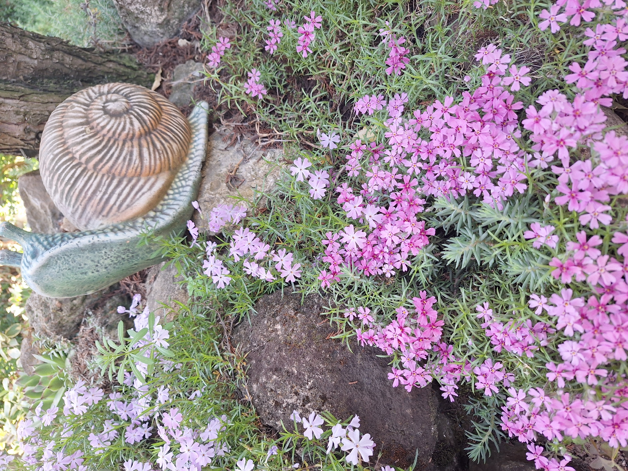 Garden ornaments spotted among spring blooms in Montana, Bulgaria