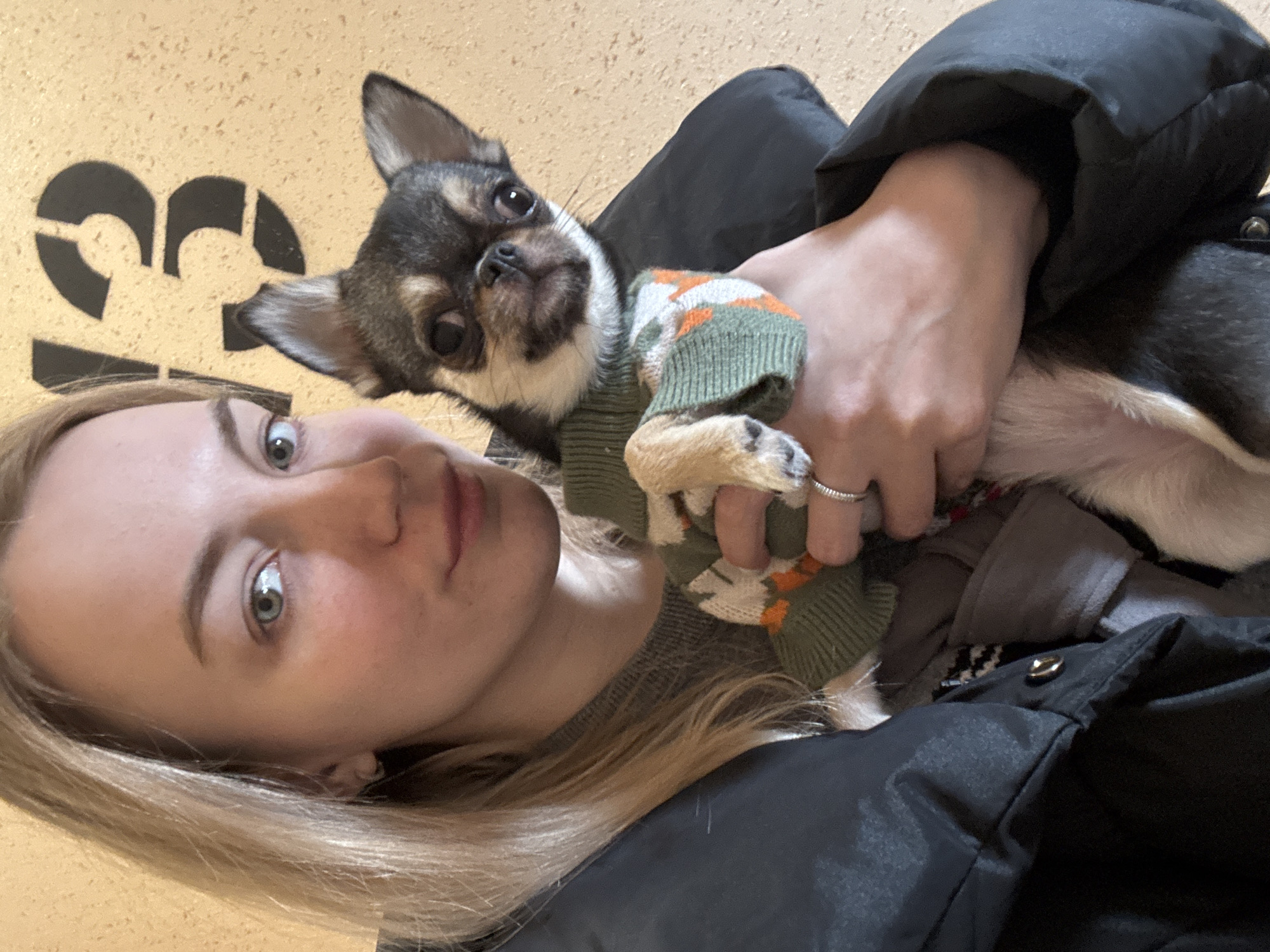 Woman and chihuahua's morning routine documented in Krasnodar