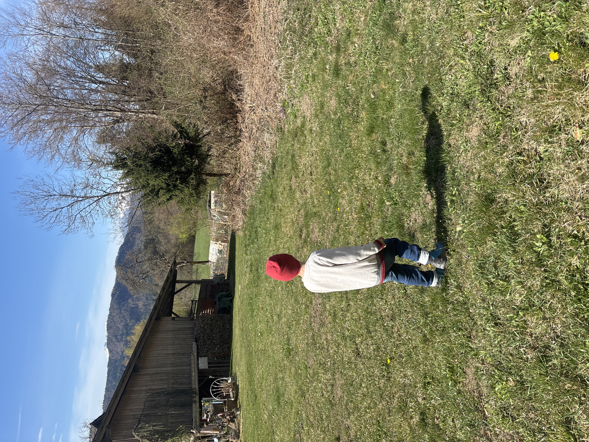 Child and dog enjoy spring morning in Austrian countryside