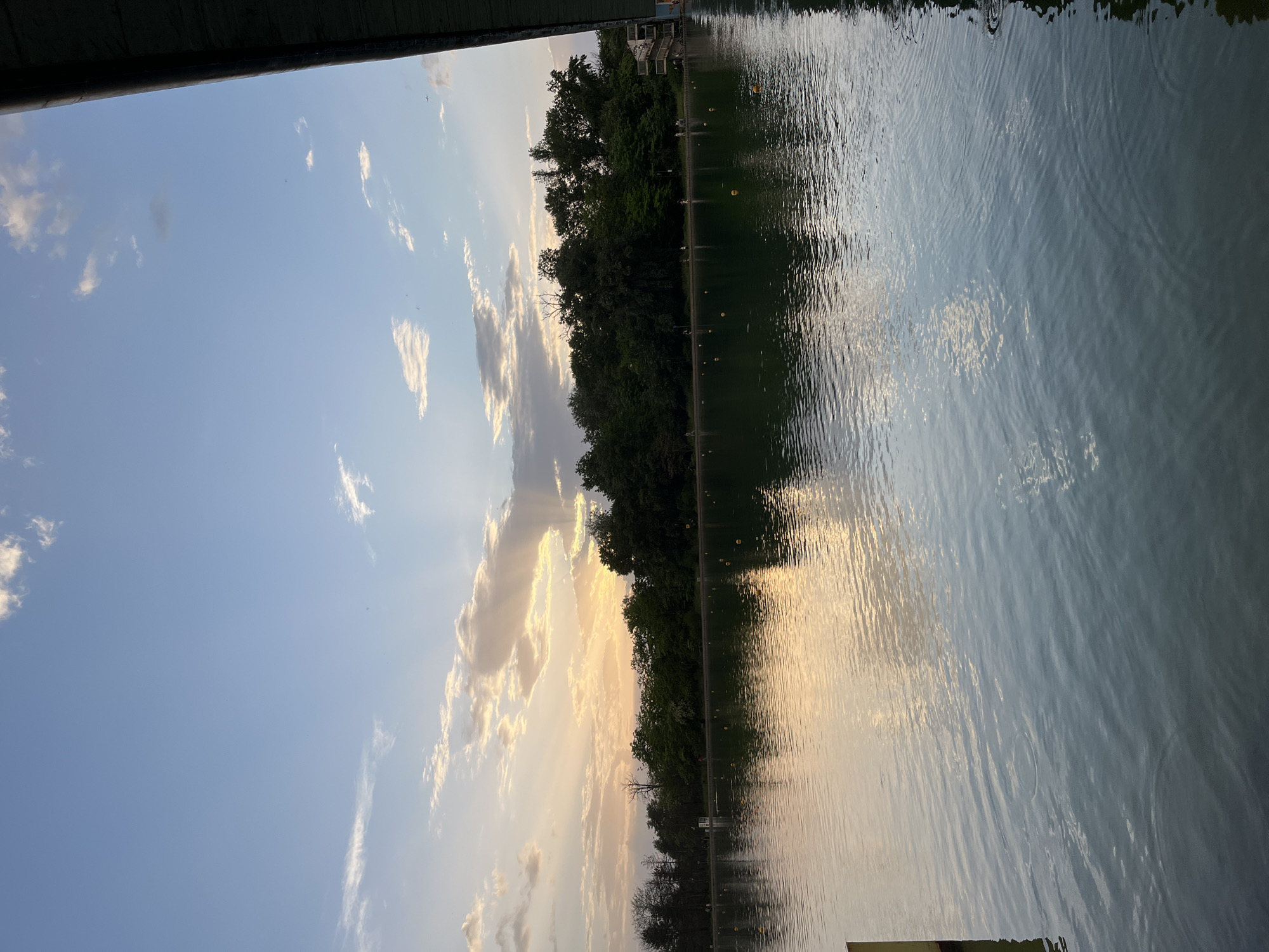 Witness captures sunset reflections and spring blooms during evening hour
