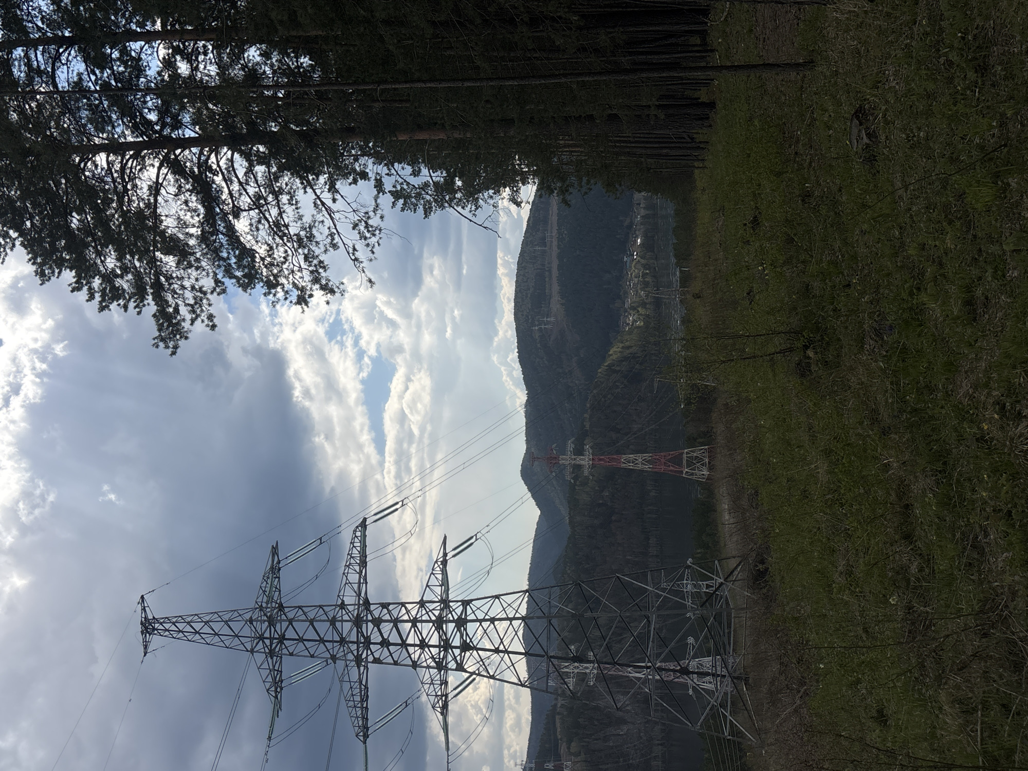 Morning forest drive and picnic documented near Krasnoyarsk