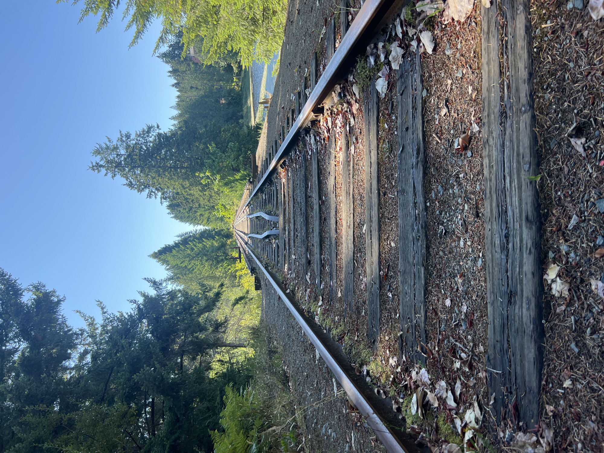 Tracks through the woods, then a calm blue lake near Nanaimo