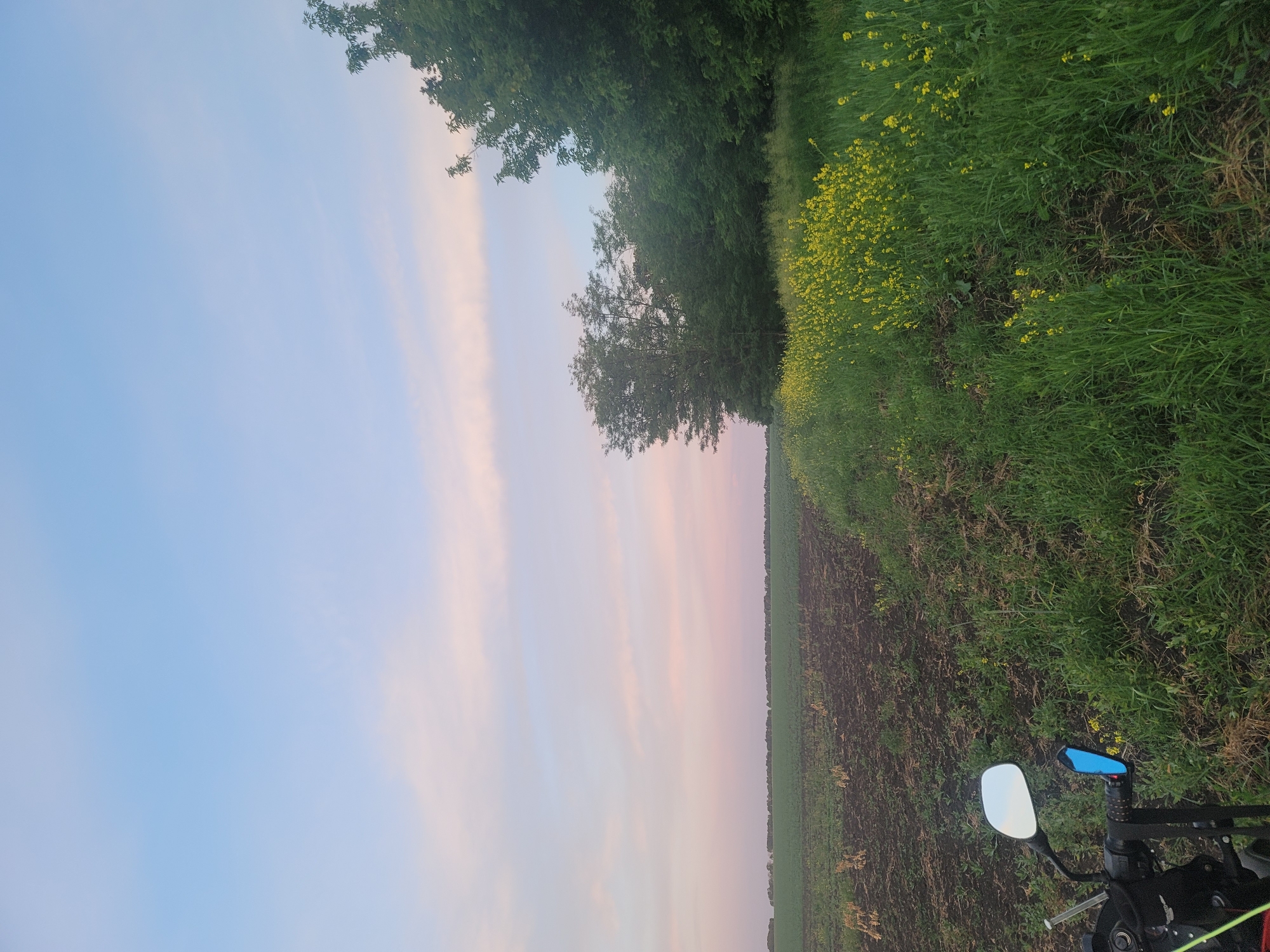 Motorcyclist's rural dusk stop documented across cultivated fields