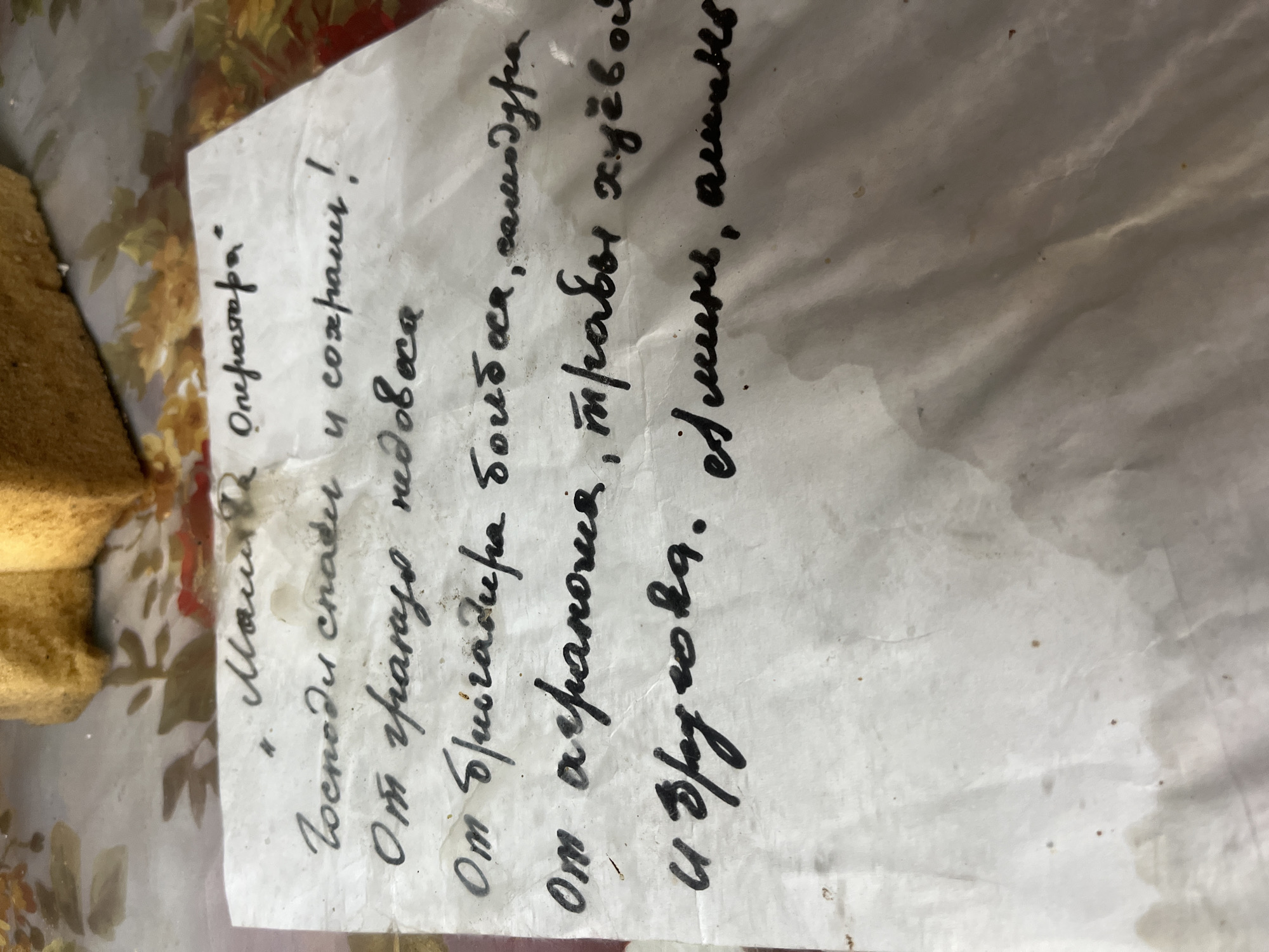 Russian prayer note and mating flies observed on patterned surface