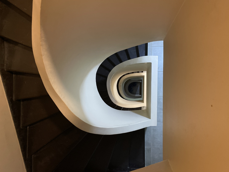Late-night documentation of Palacio Barolo architecture and domestic cats