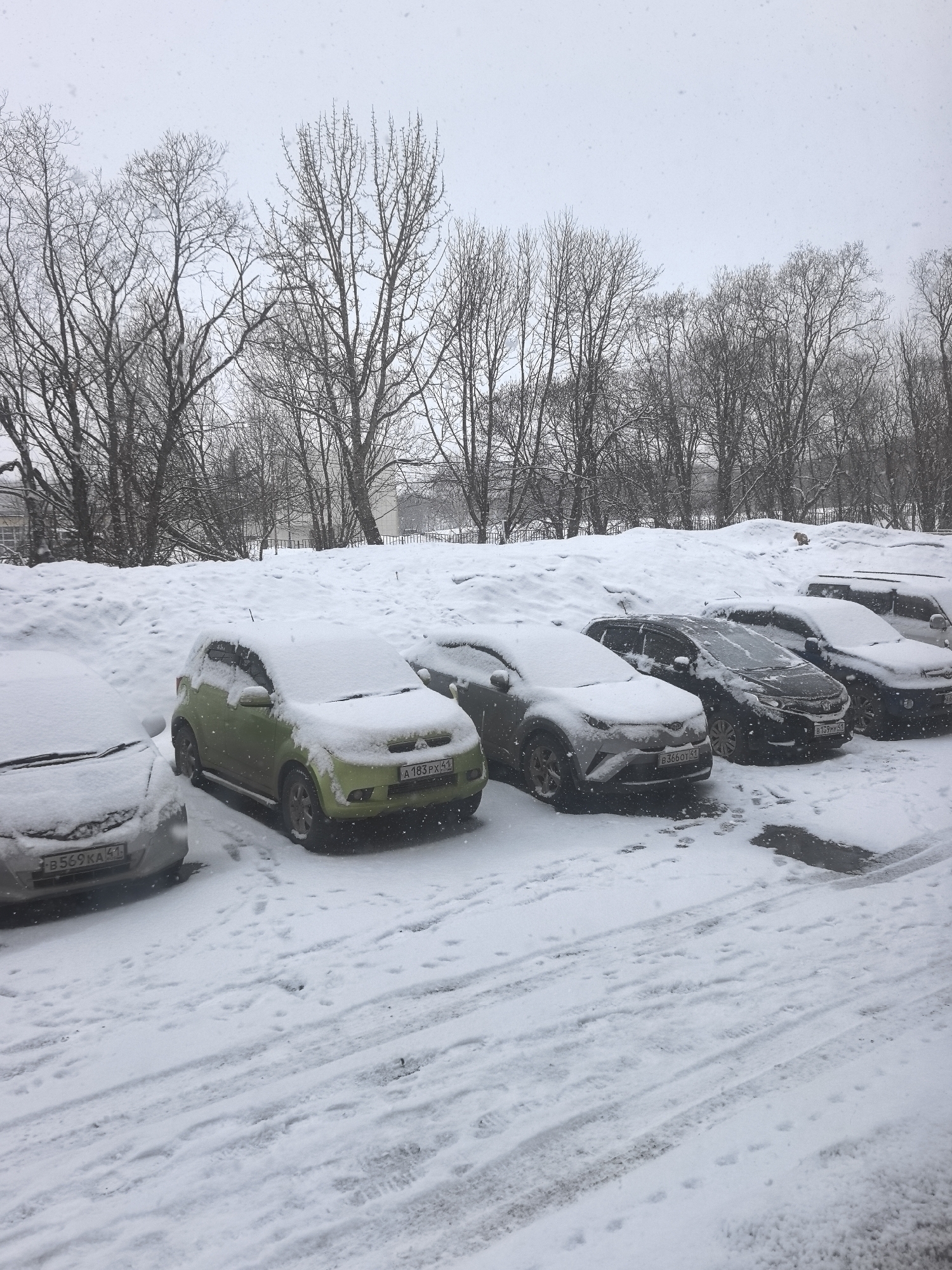 Snow-covered parking lot observed with green vegetation contrast