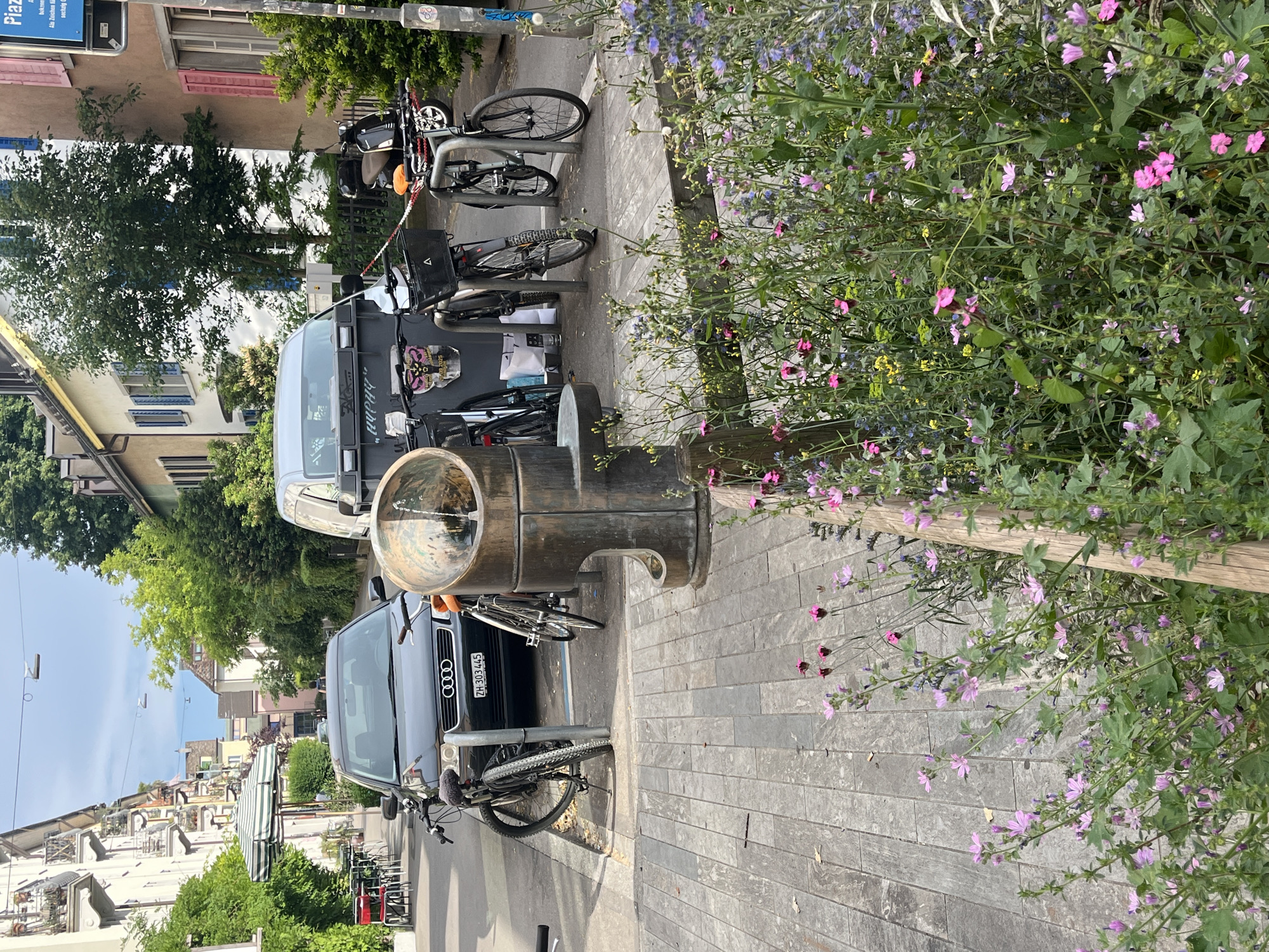 Person holds lavender sprigs on Zurich street