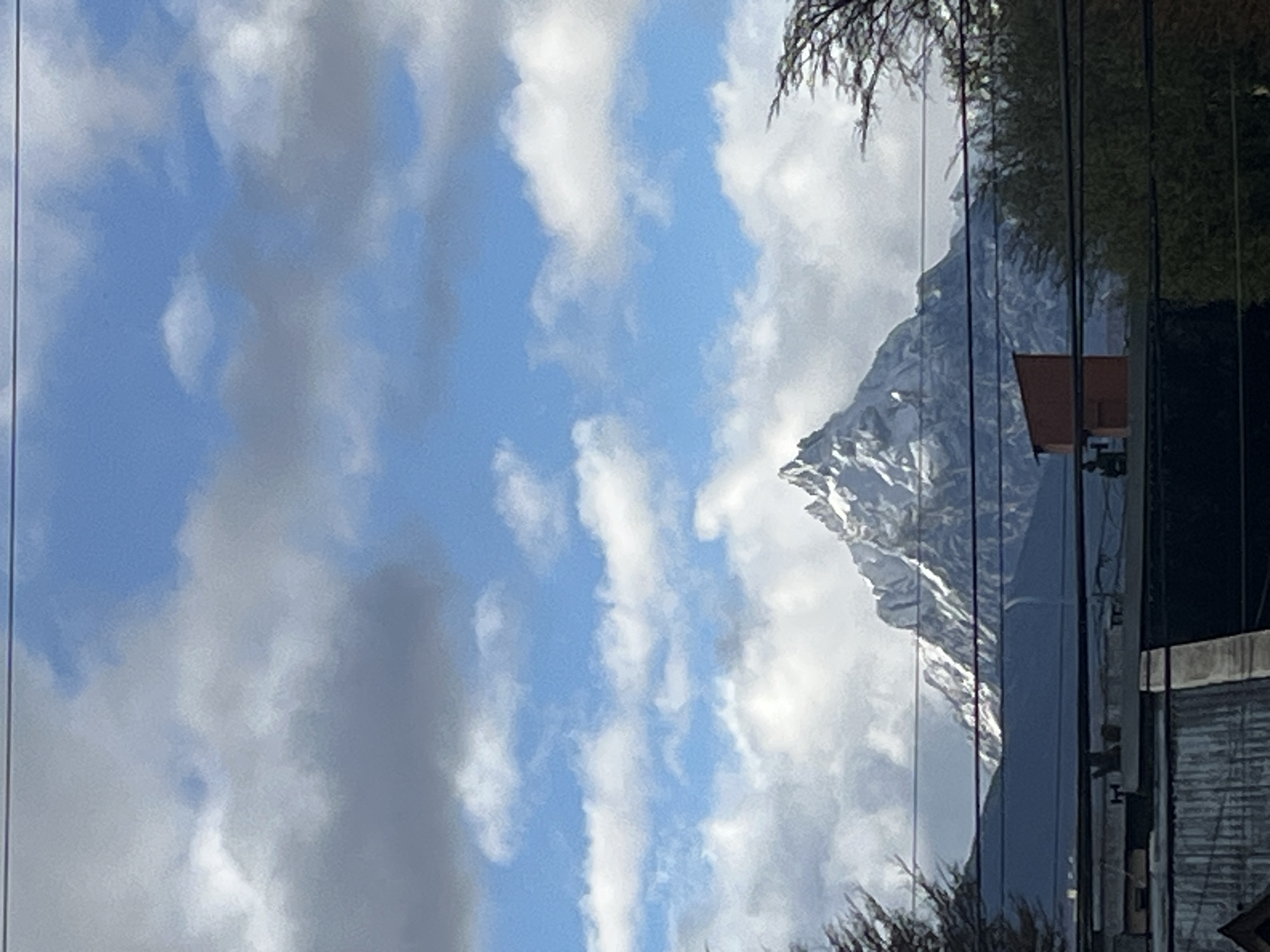 Cats rest indoors as snow-capped mountains visible in Ushuaia