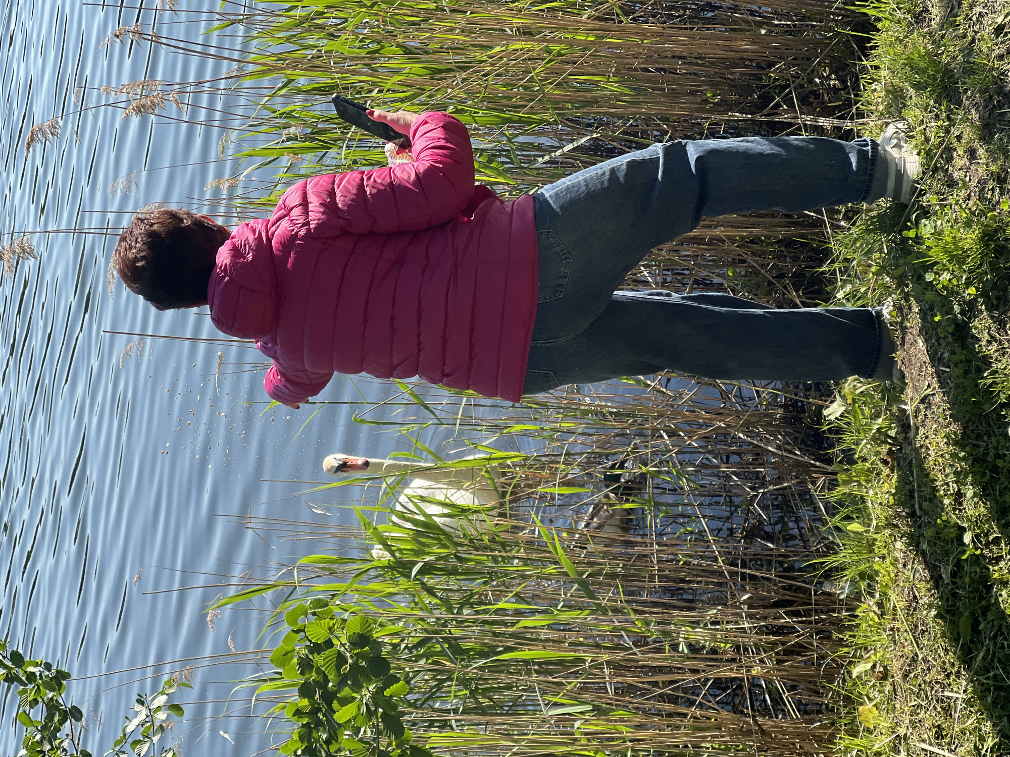 Afternoon nature walk documented through woodland and waterside scenes
