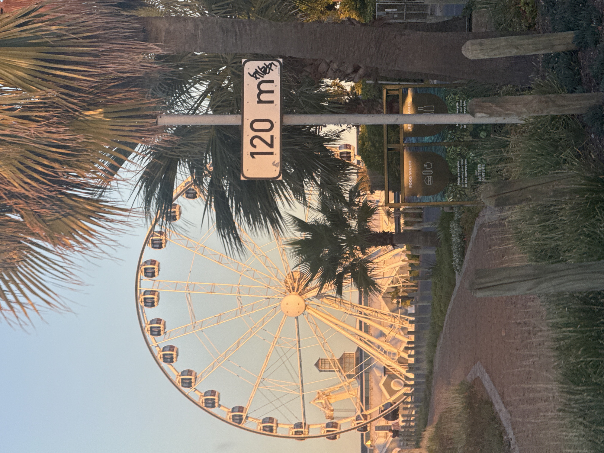 Cape Town Ferris wheel attraction draws afternoon visitors
