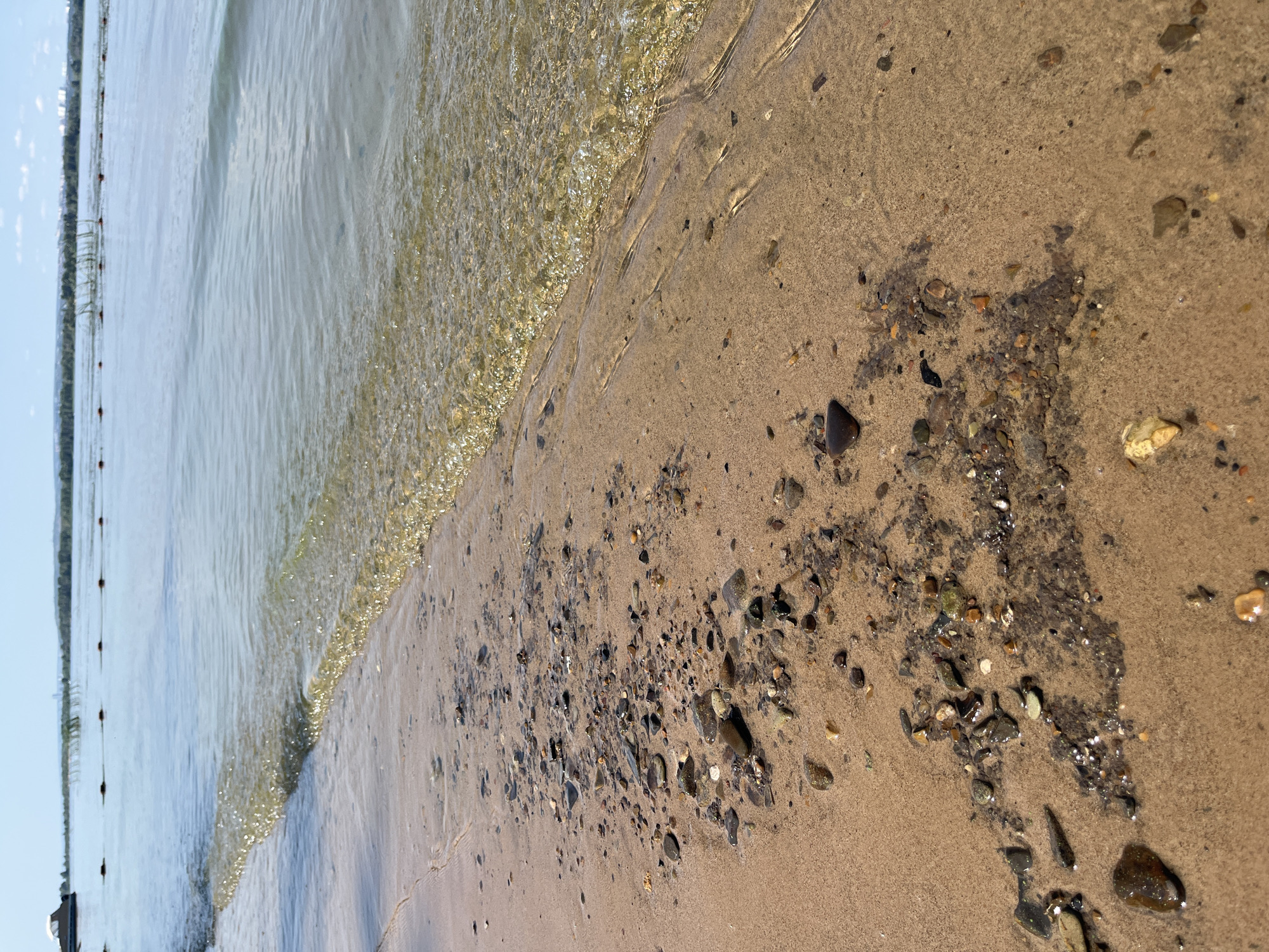 Lazy summer morning on the Volga: beach, docks, and cormorants