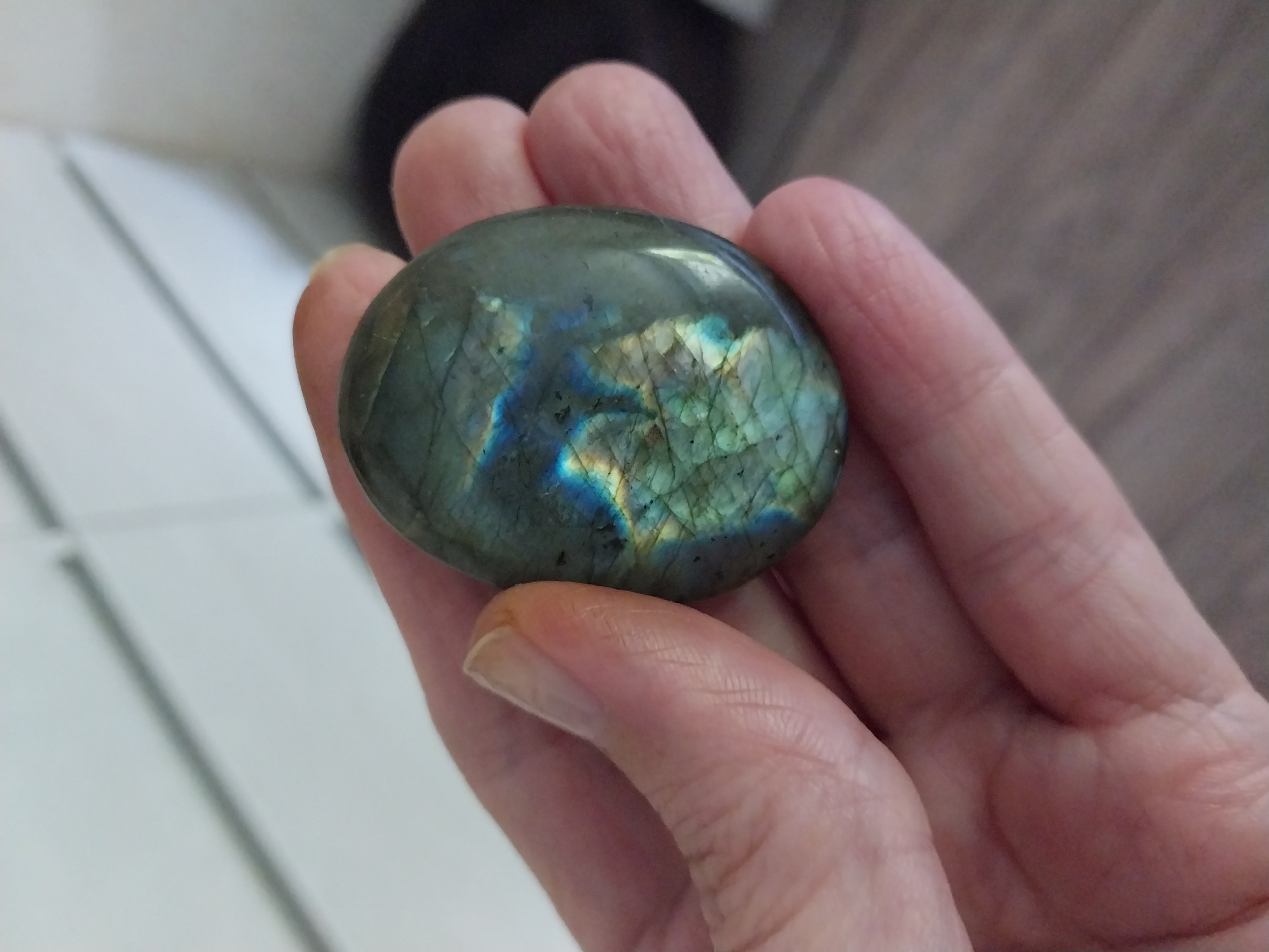 Dnipro resident documents personal belongings in morning pocket challenge