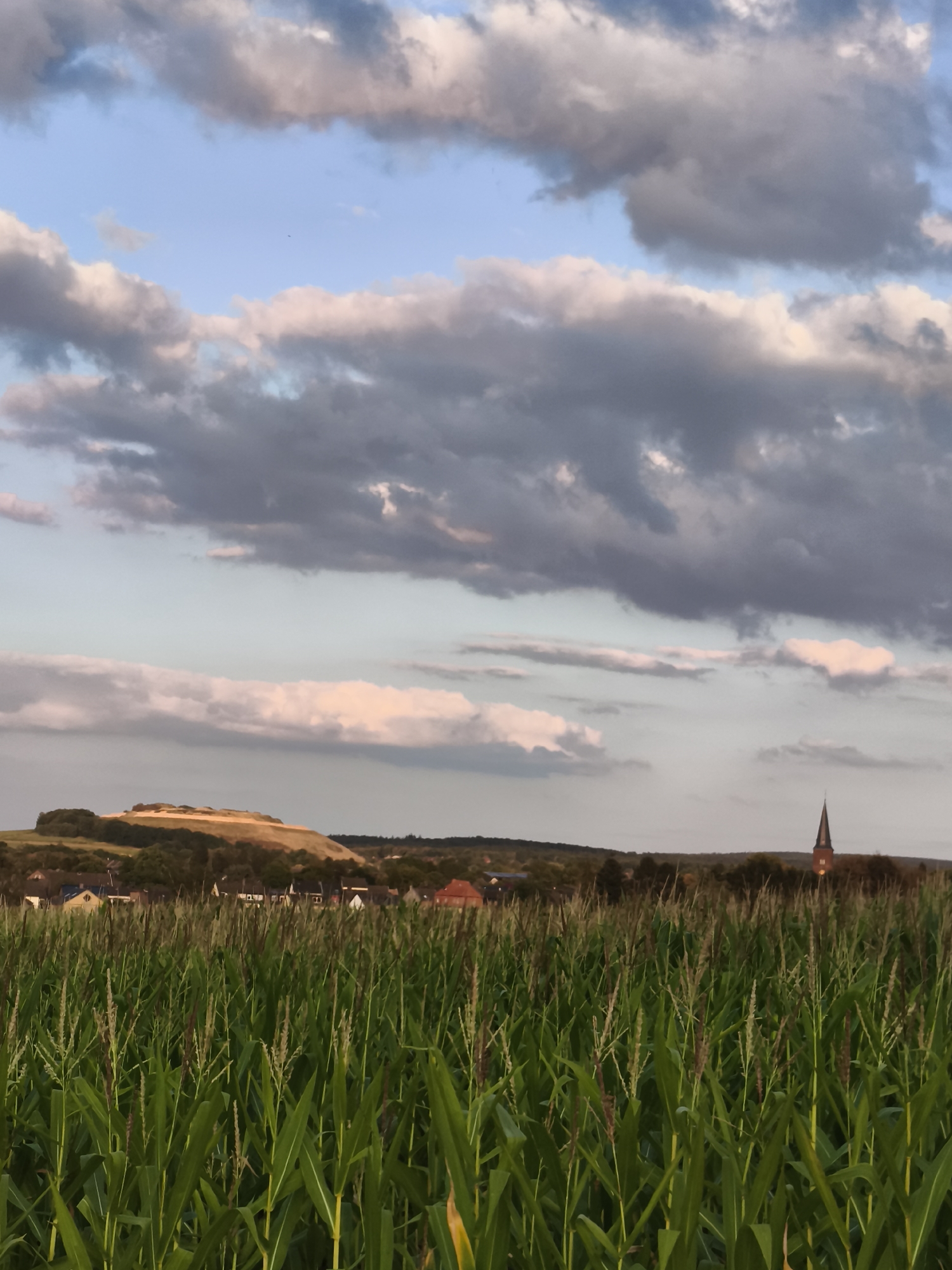 Farmland, grazing animals, and a manor house near Eschweiler