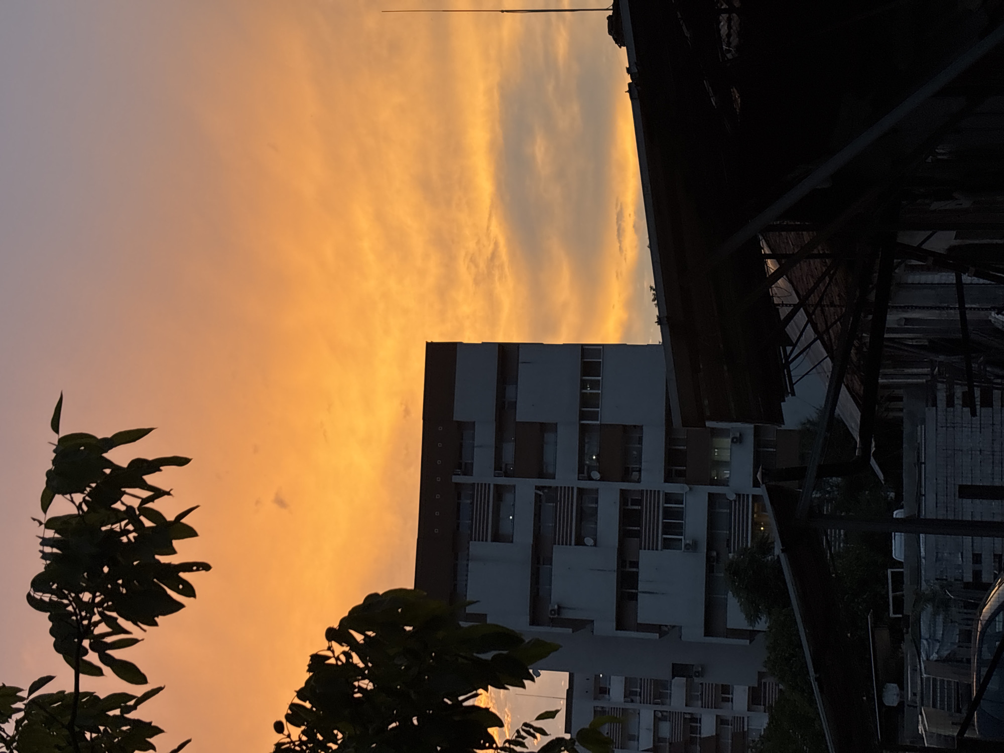 Sunset pet moments captured in Zlatograd, Bulgaria