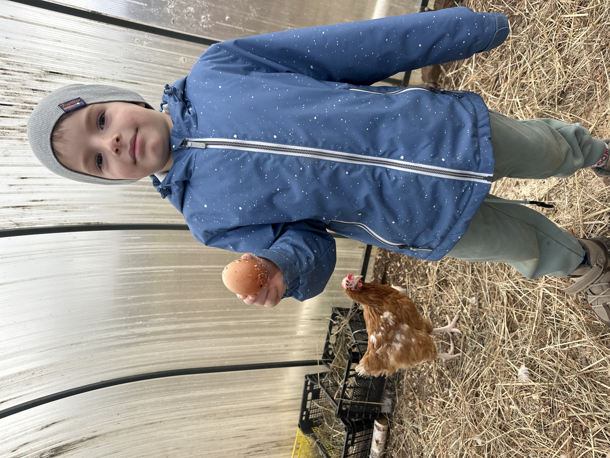Morning domestic life captured in Альняш: child with egg, calico cat