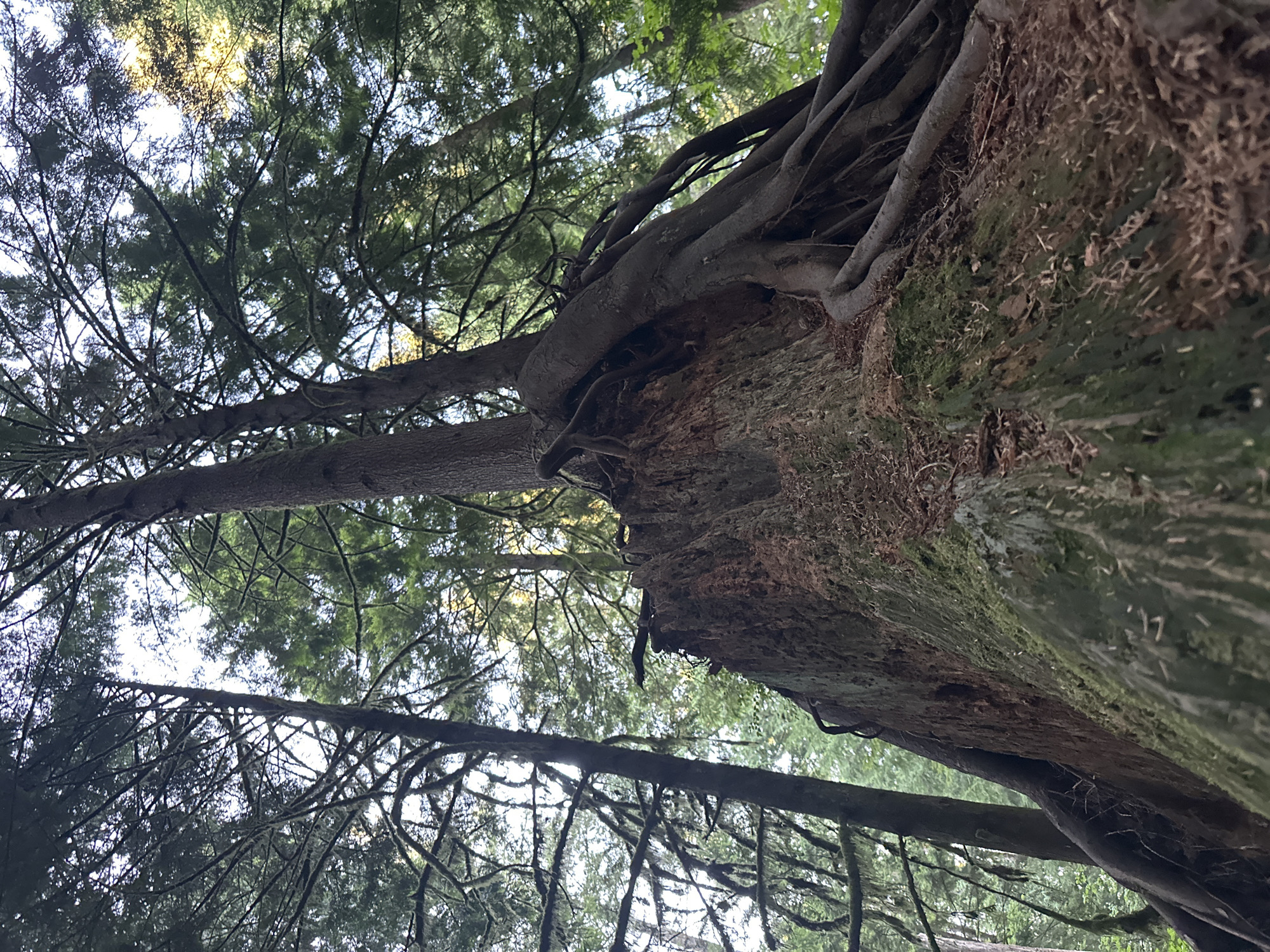 Coquitlam, Canada