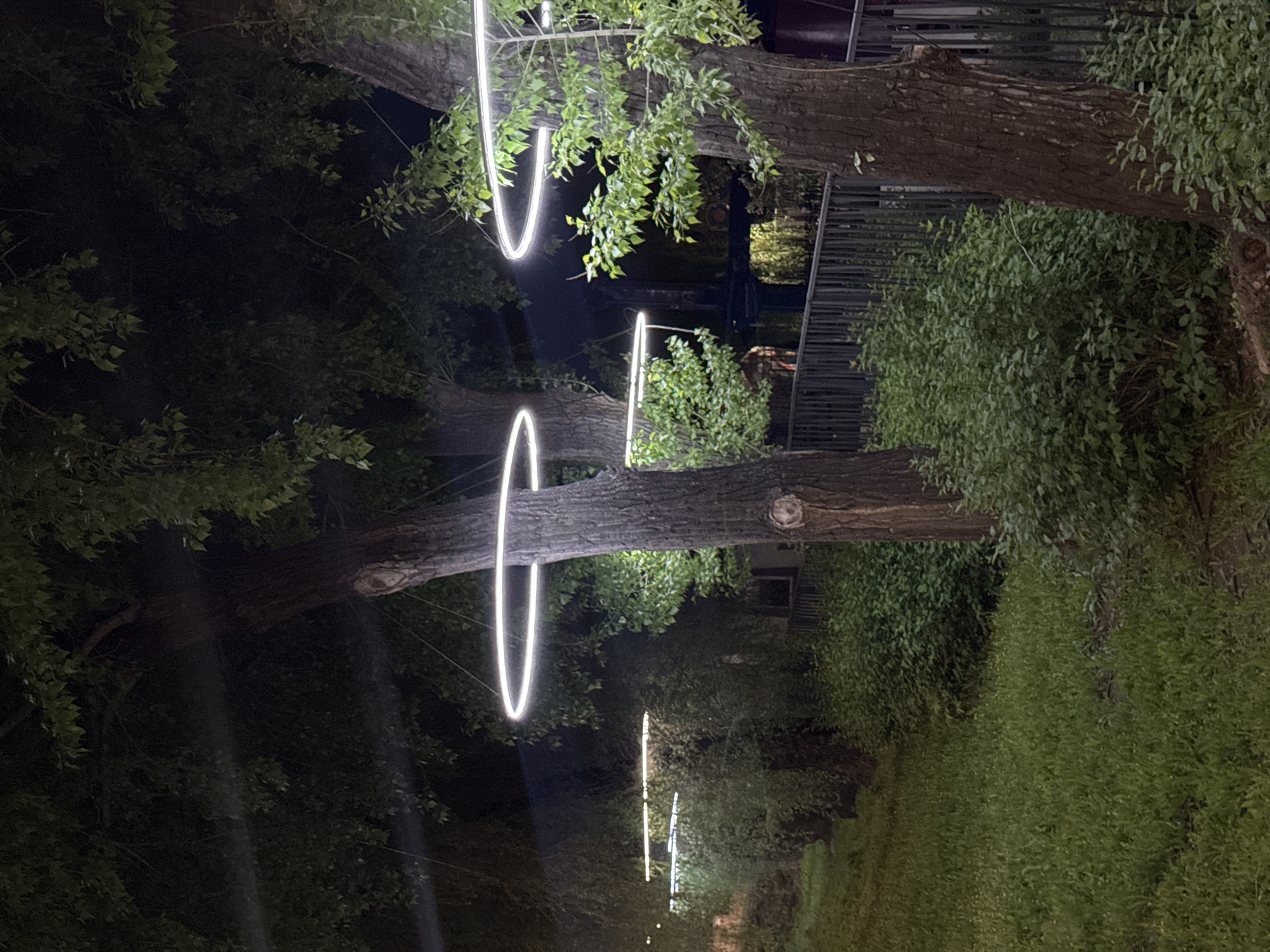 Evening park activities documented in illuminated Omsk recreation area