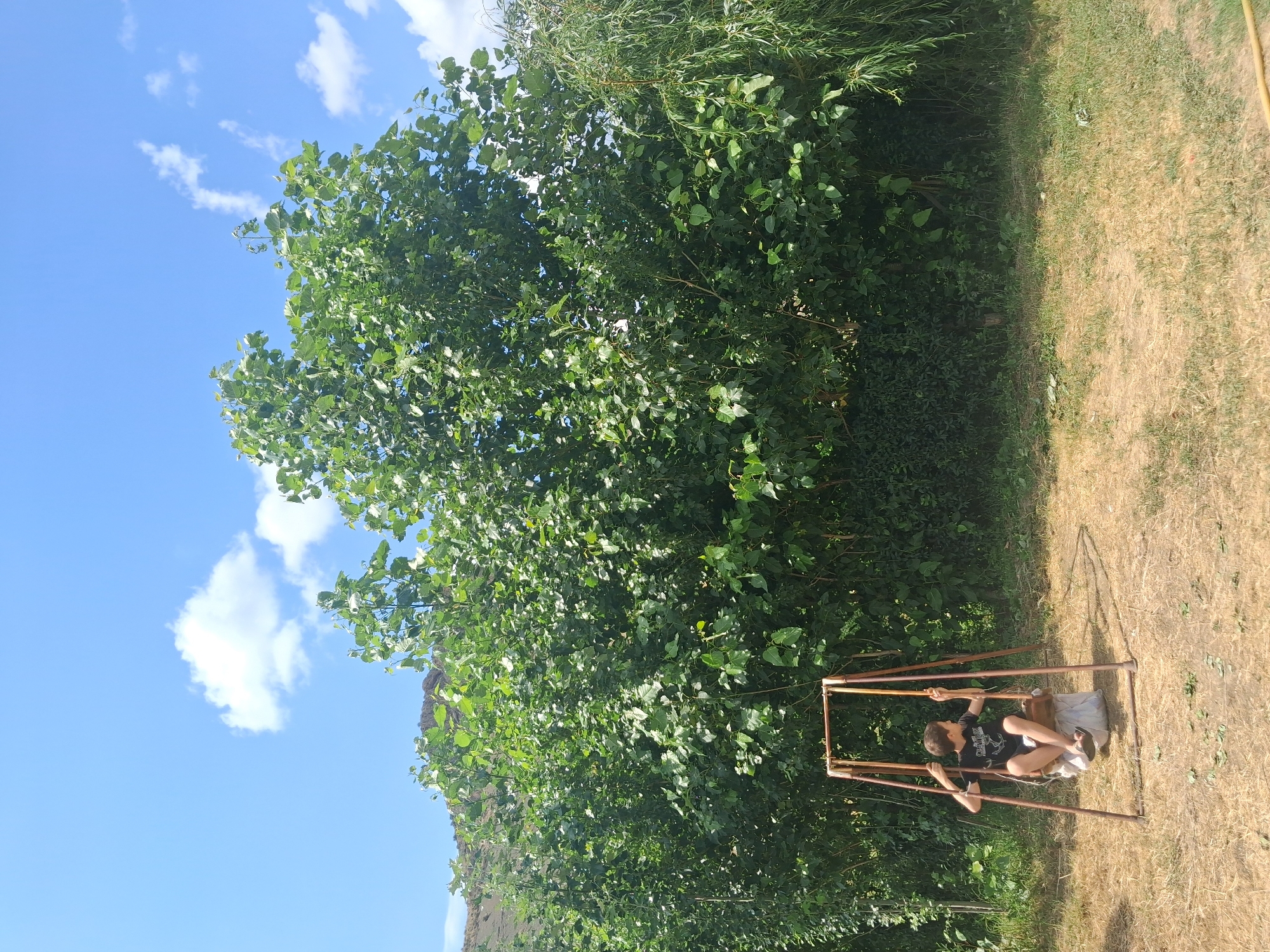 Rustic outdoor spot in Malishka, Armenia's hilly countryside