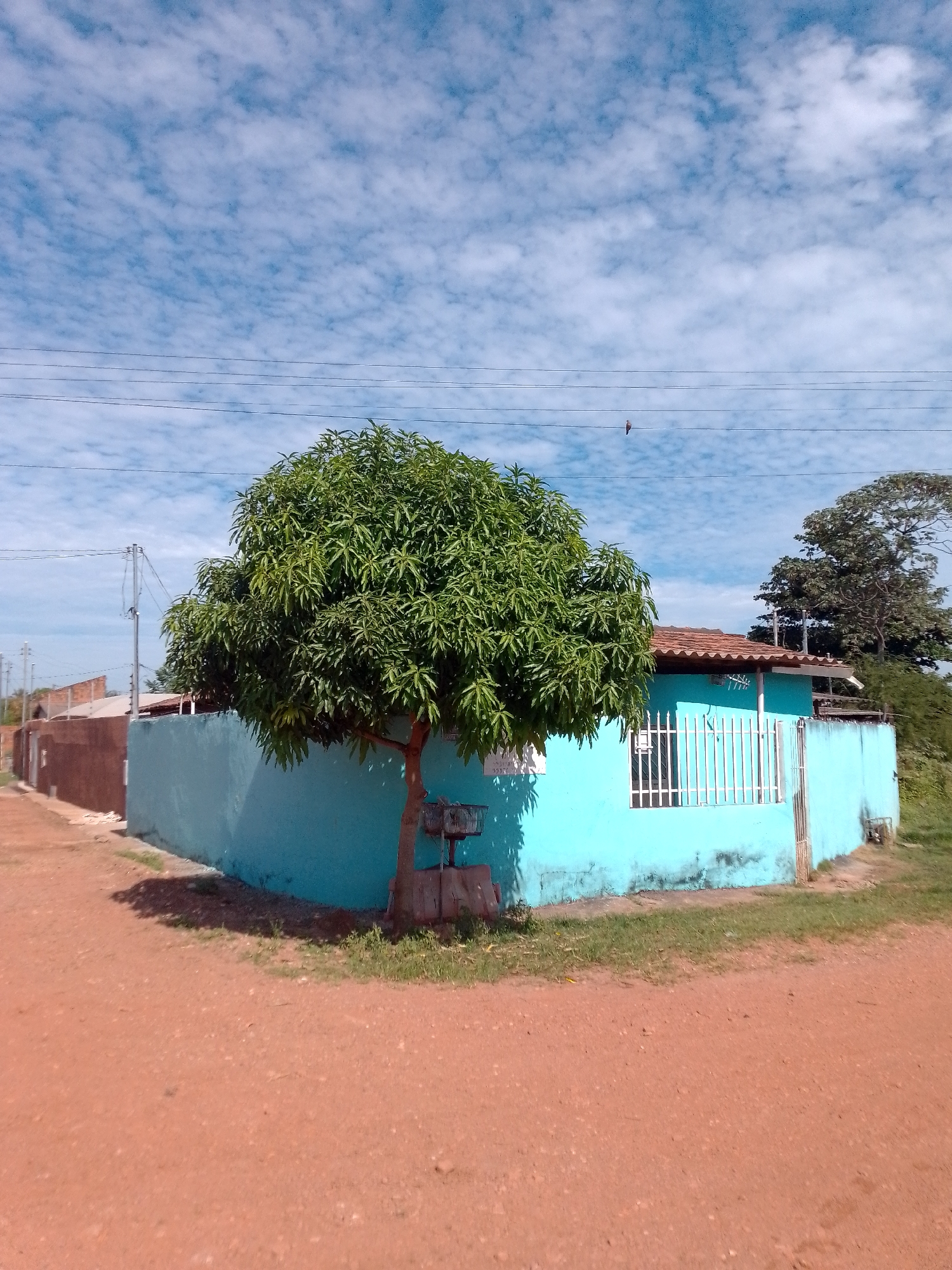 Witness Documents Daily Life Across Cuiabá Neighborhoods