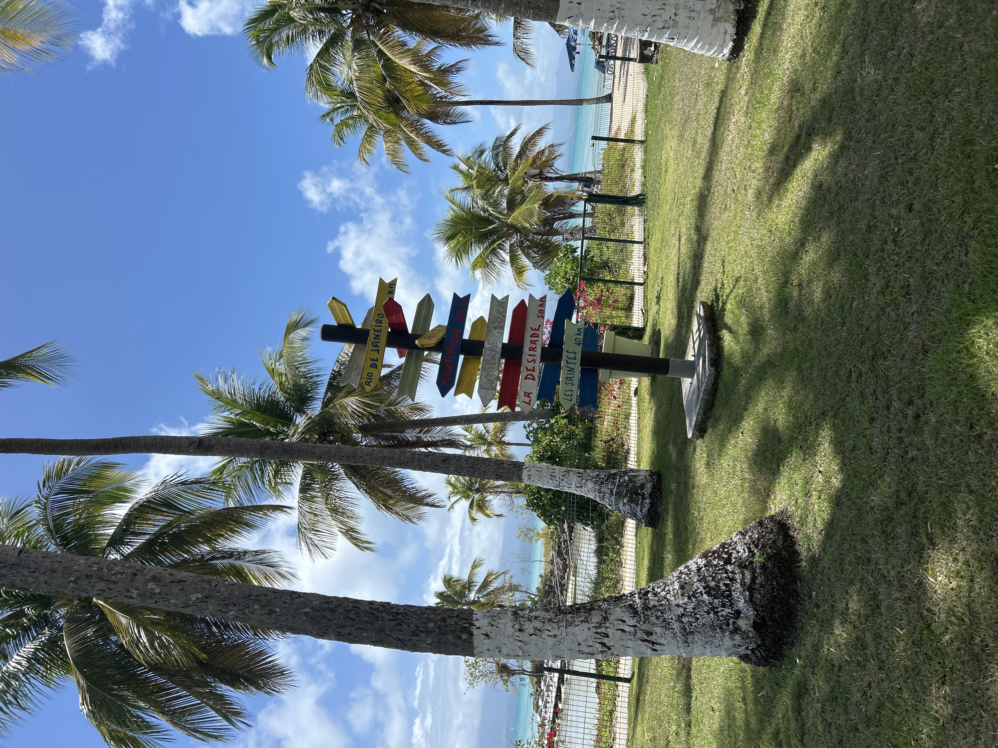 Tropical shoreline with white-painted palms and directional signage documented