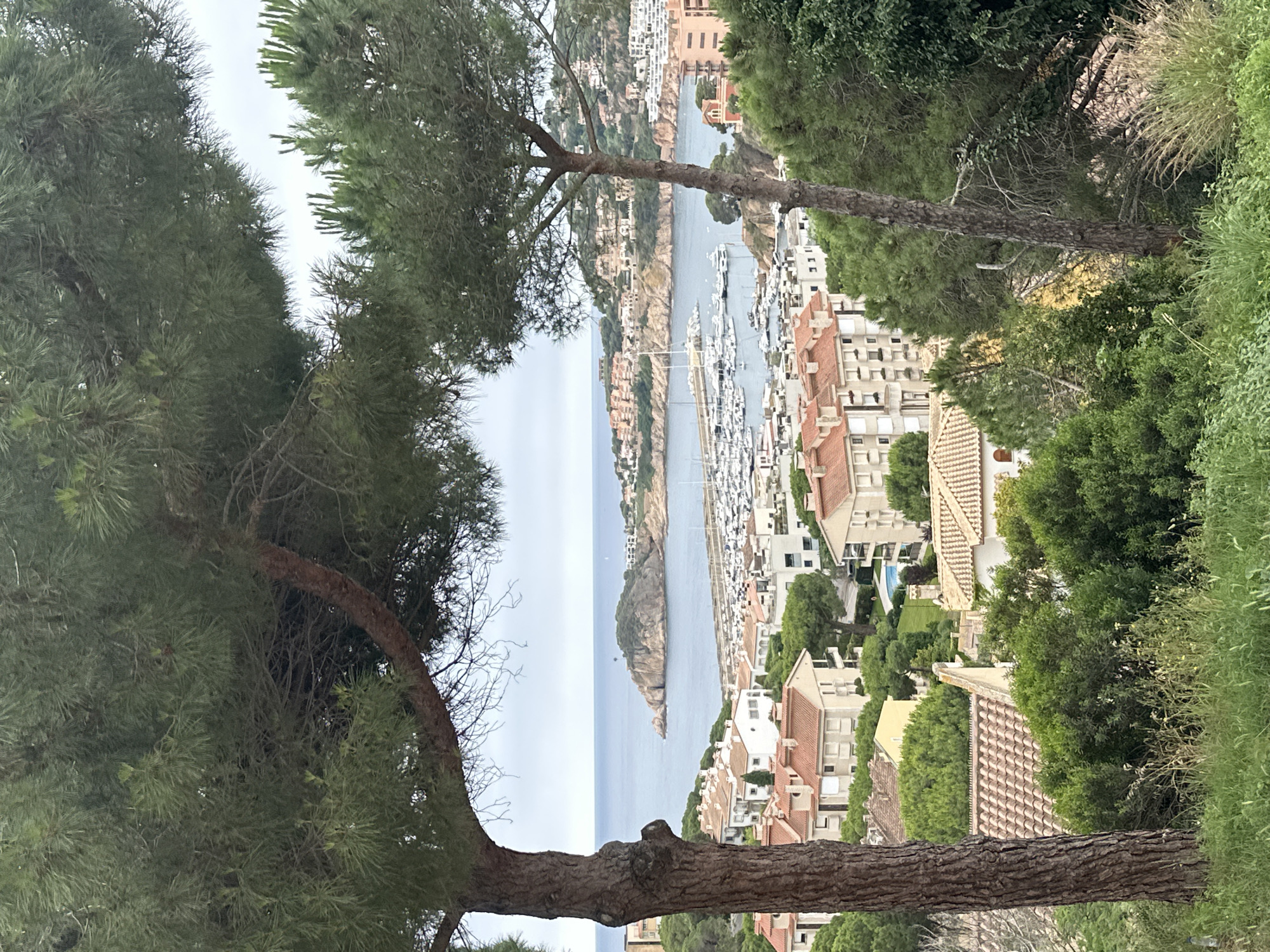 Morning moments captured in Spanish coastal town during social challenge