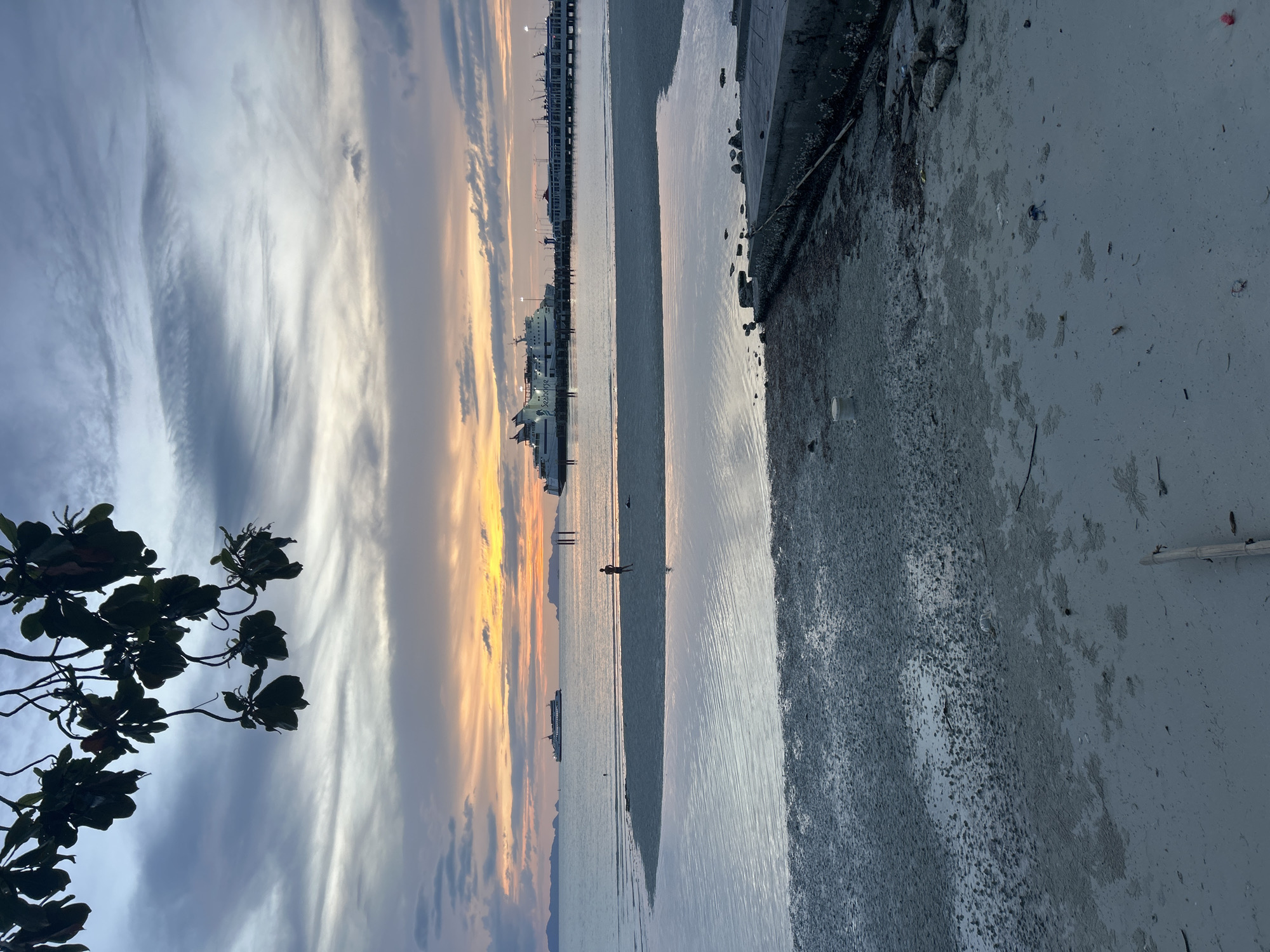 Sunset on a Ko Samui beach, dog included