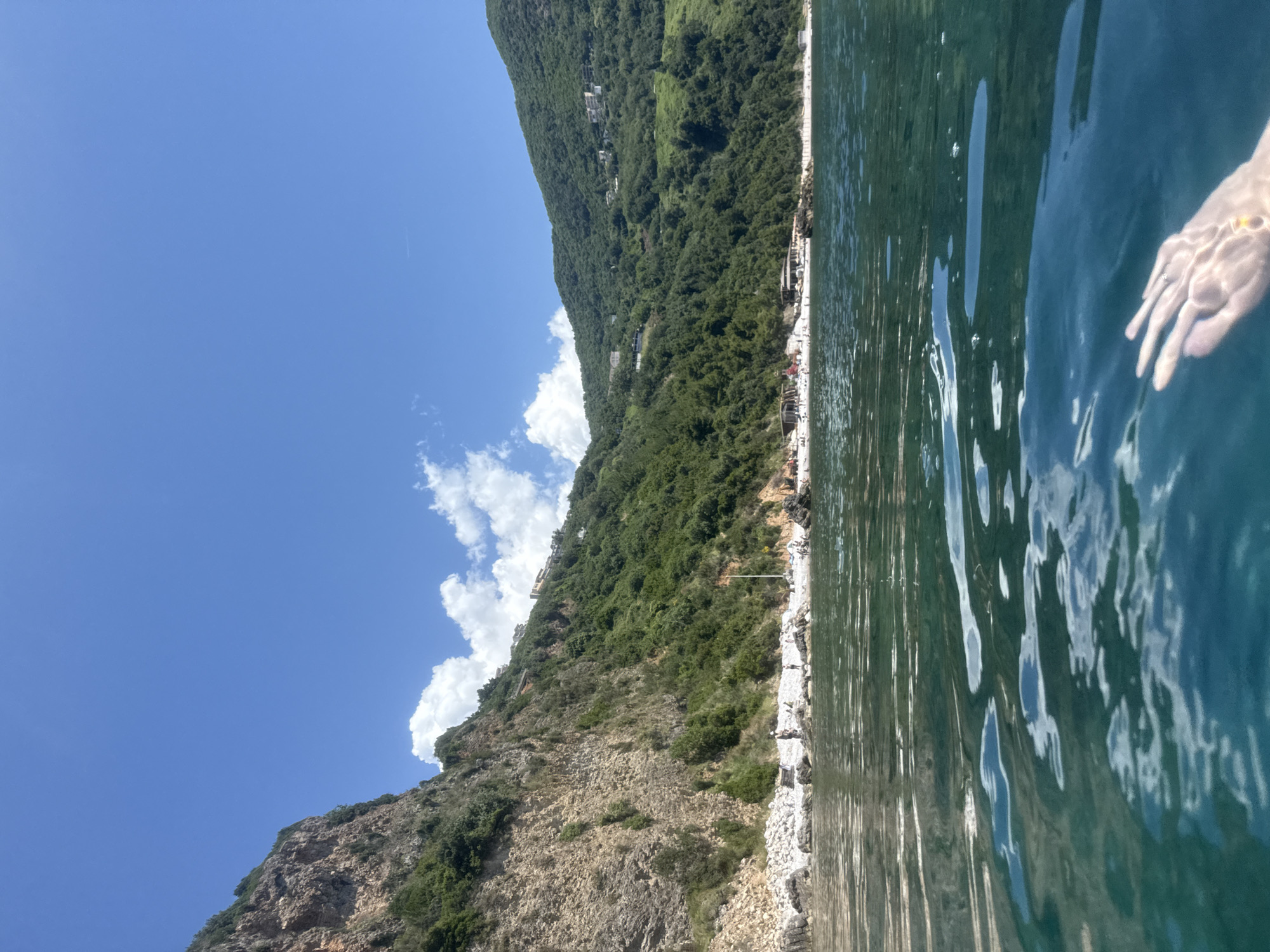 Swimming session documented in turquoise coastal waters with marine life