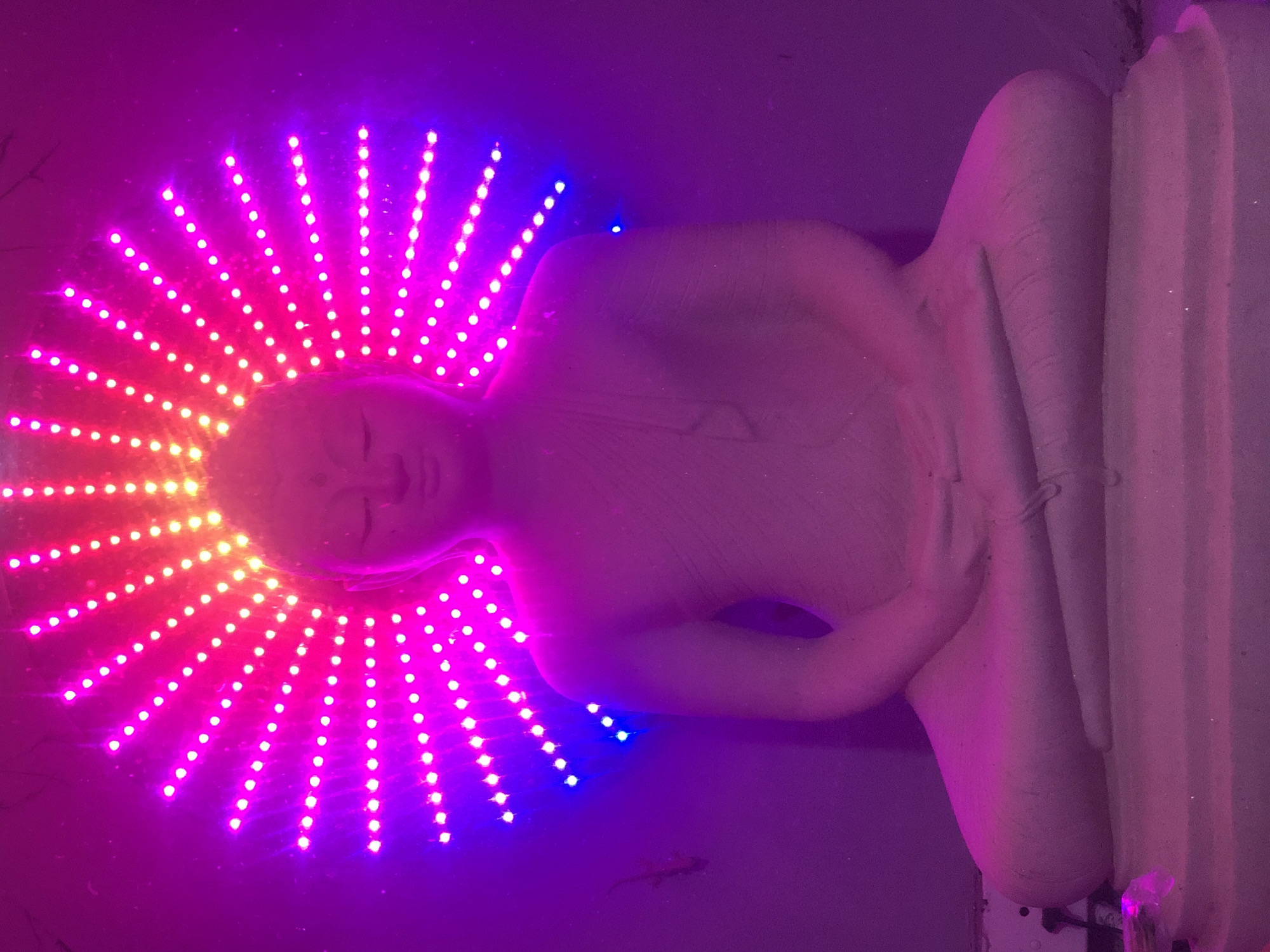 LED-illuminated Buddha statue observed in Ahangama, Sri Lanka