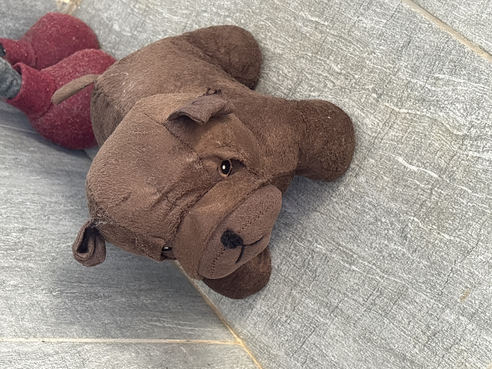 Stuffed bear and gaming setup documented in morning hours
