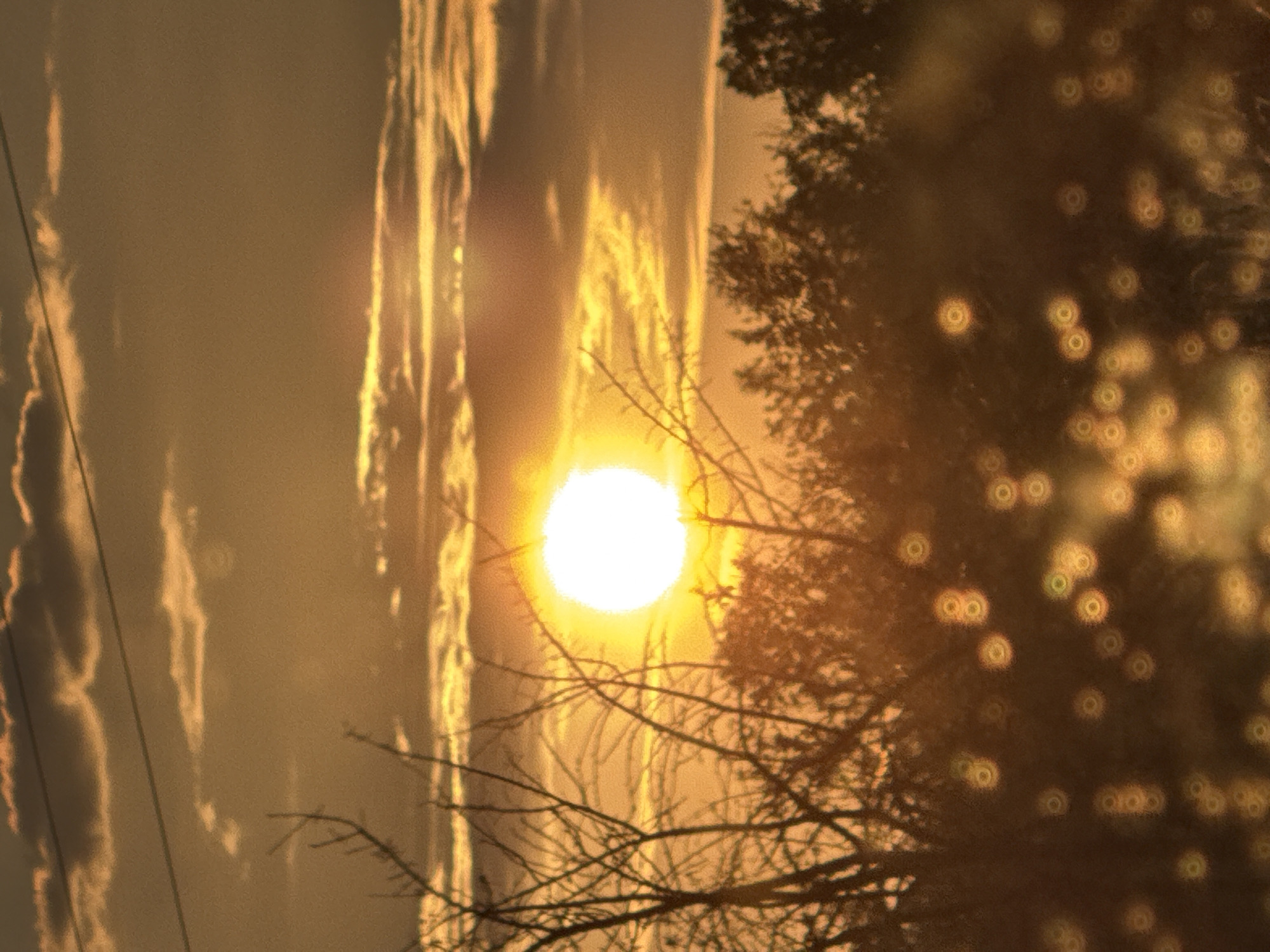 Golden dusk light through silhouetted trees in Ledenik, Bulgaria