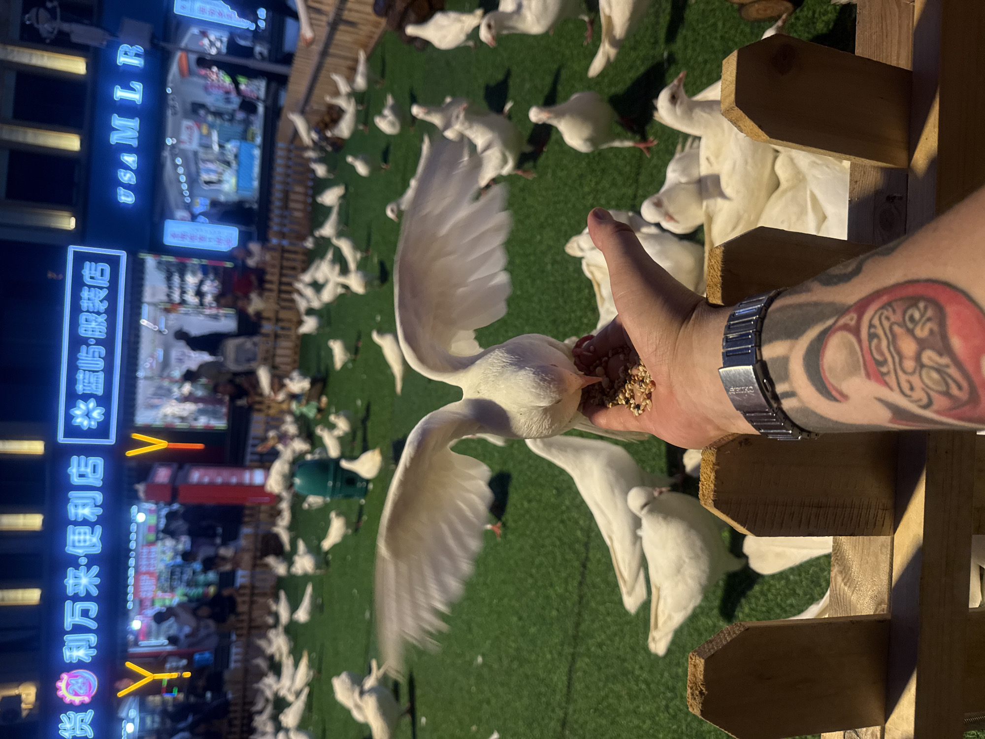 Street performances and pigeon feeding on a Qinhuangdao pedestrian strip