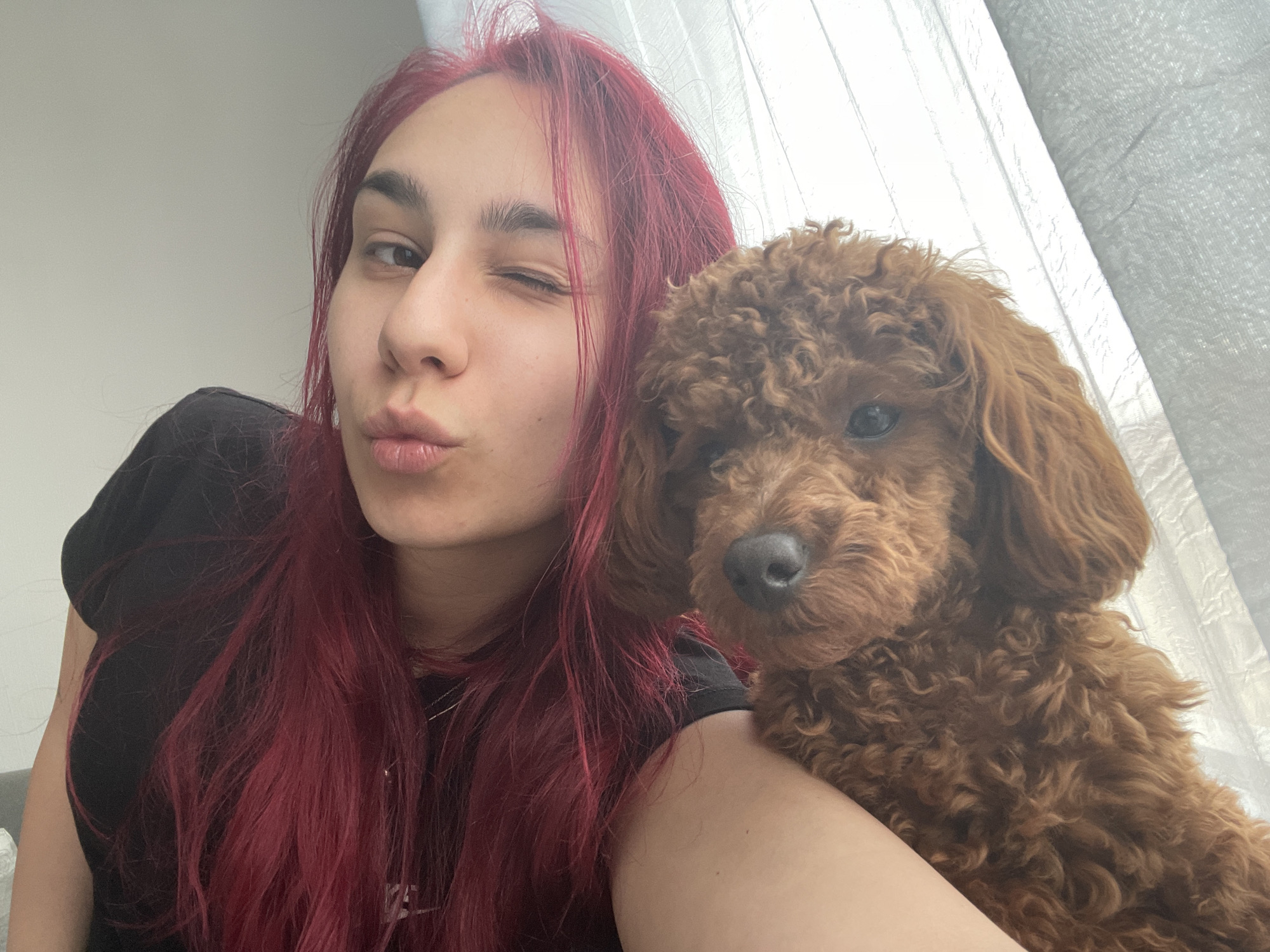 Domestic moments with woman and poodle captured in Smolyan