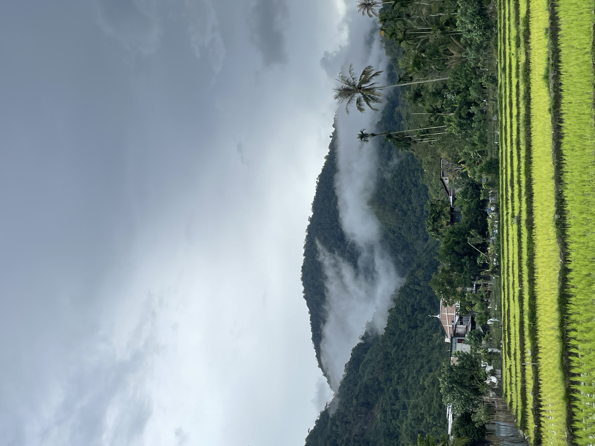 Foggy rice paddies and a mosque interior in rural Aceh