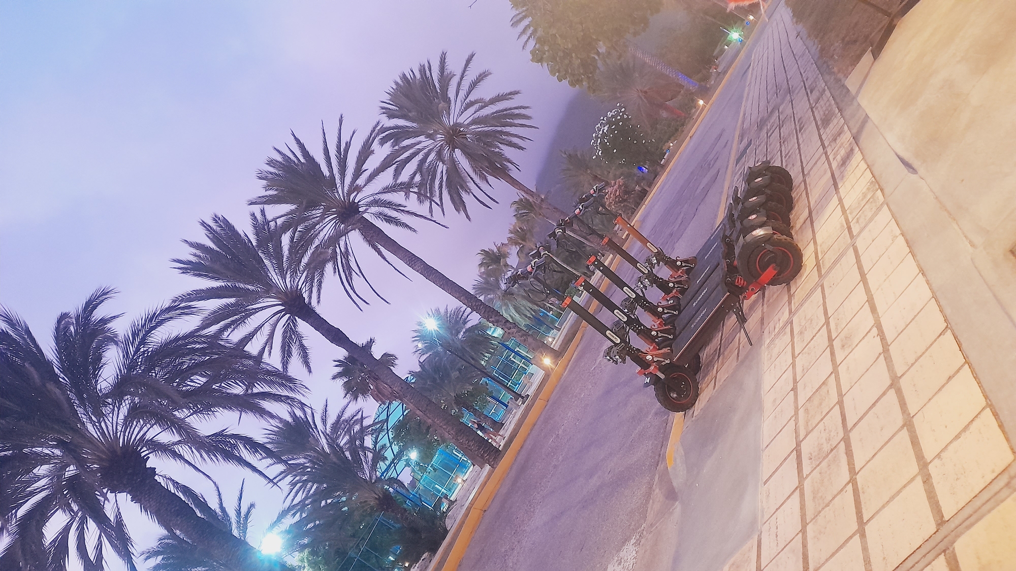 Electric scooters at dusk along a palm-lined street in Pedro González