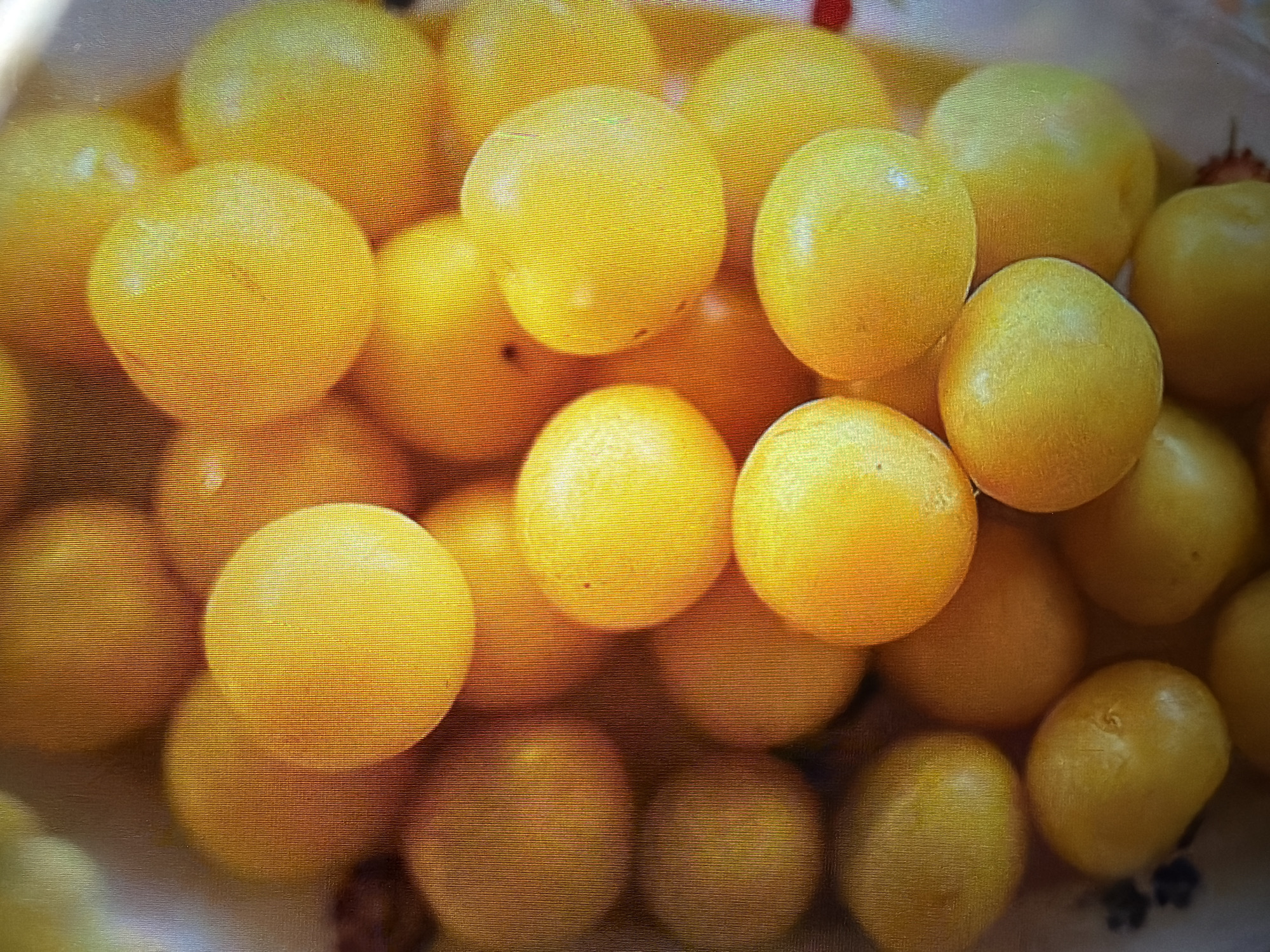 Moscow still life shoot: plums, lemons, blueberries, and wildflowers
